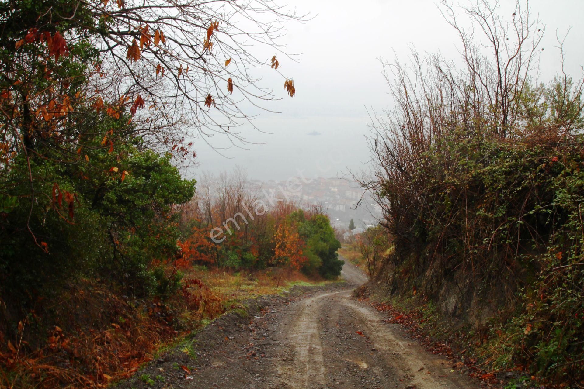 Gölcük Halıdere 8.5 Dönüm Yolu Açılmış Kestanelik Satılık Arsa - Görsel 11