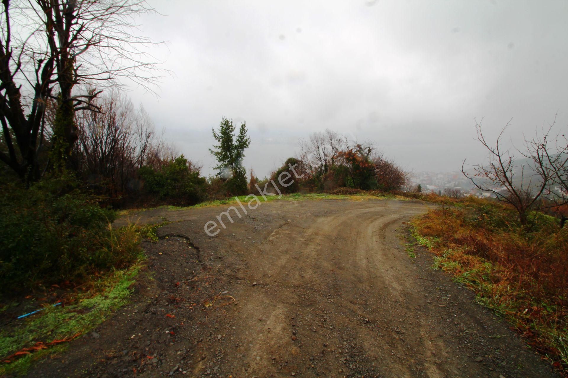 Gölcük Halıdere 8.5 Dönüm Yolu Açılmış Kestanelik Satılık Arsa - Görsel 15
