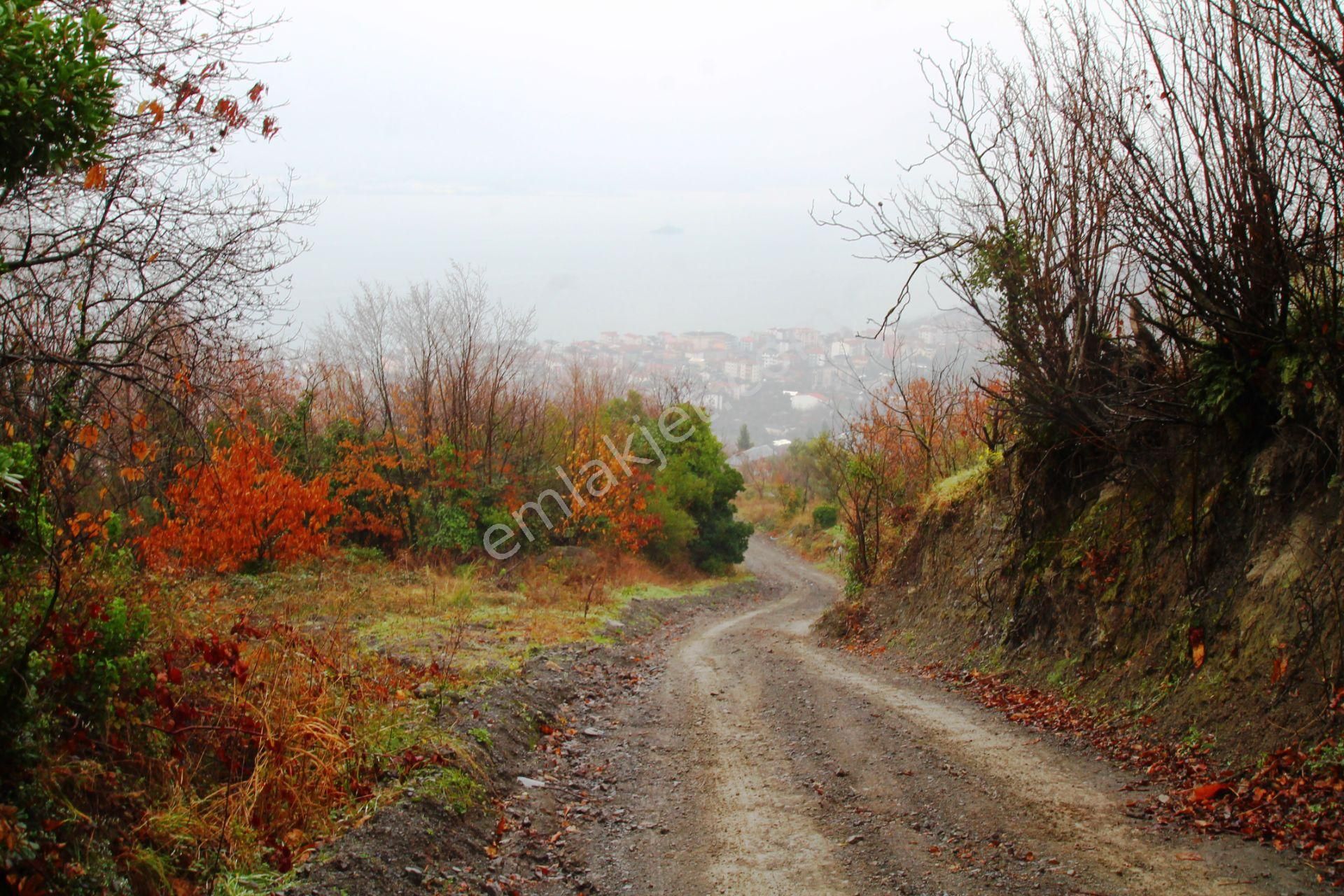 Gölcük Halıdere 8.5 Dönüm Yolu Açılmış Kestanelik Satılık Arsa - Görsel 9