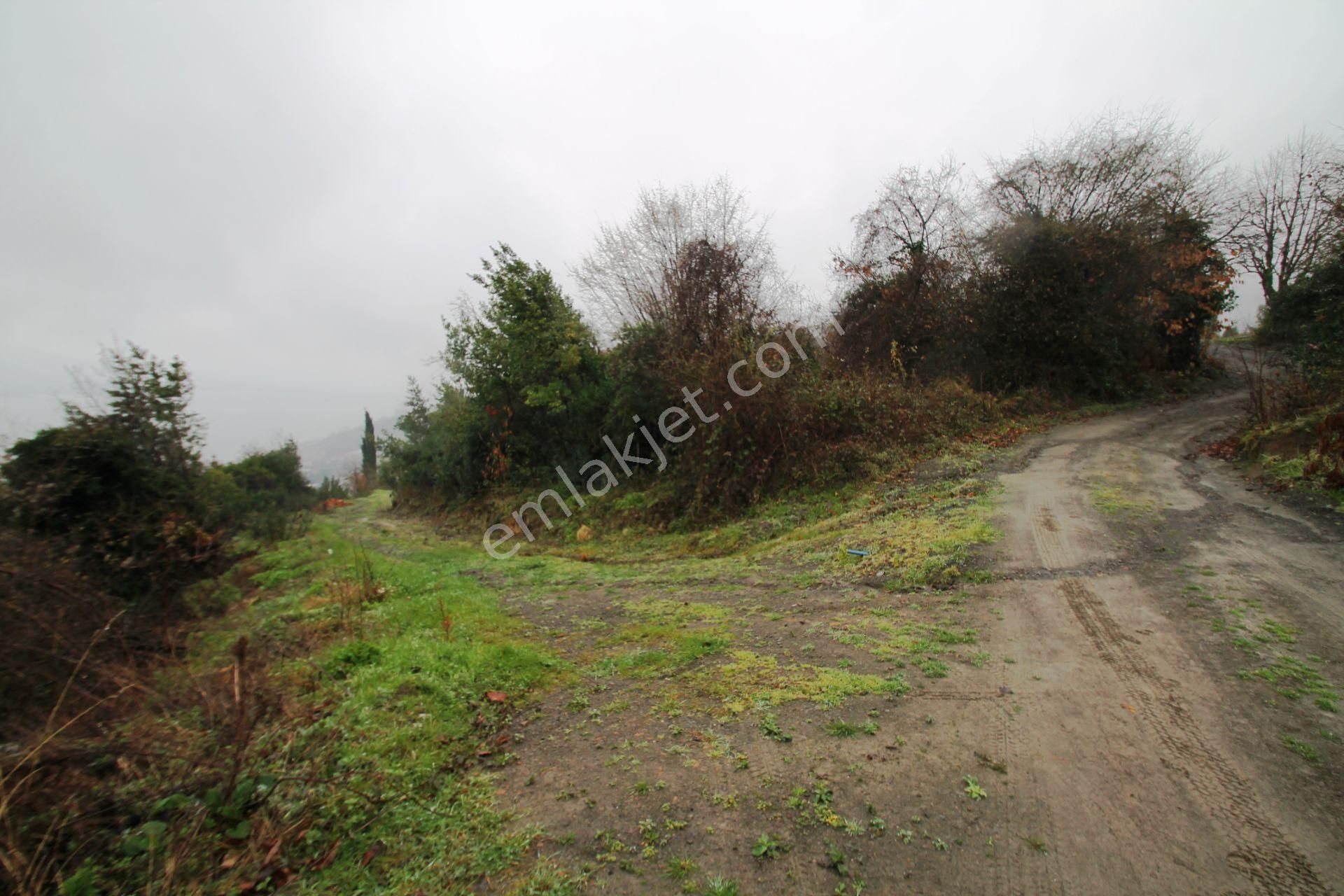 Gölcük Halıdere 8.5 Dönüm Yolu Açılmış Kestanelik Satılık Arsa - Görsel 23