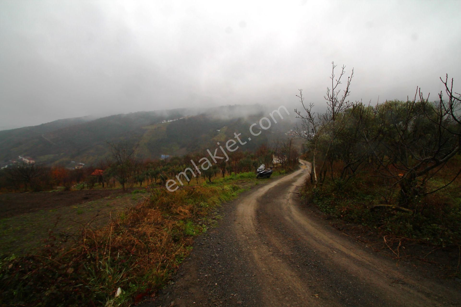 Gölcük Halıdere 8.5 Dönüm Yolu Açılmış Kestanelik Satılık Arsa - Görsel 20