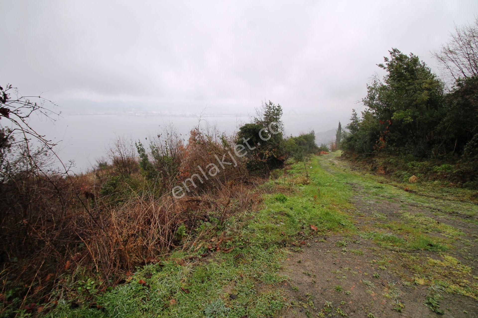 Gölcük Halıdere 8.5 Dönüm Yolu Açılmış Kestanelik Satılık Arsa - Görsel 24