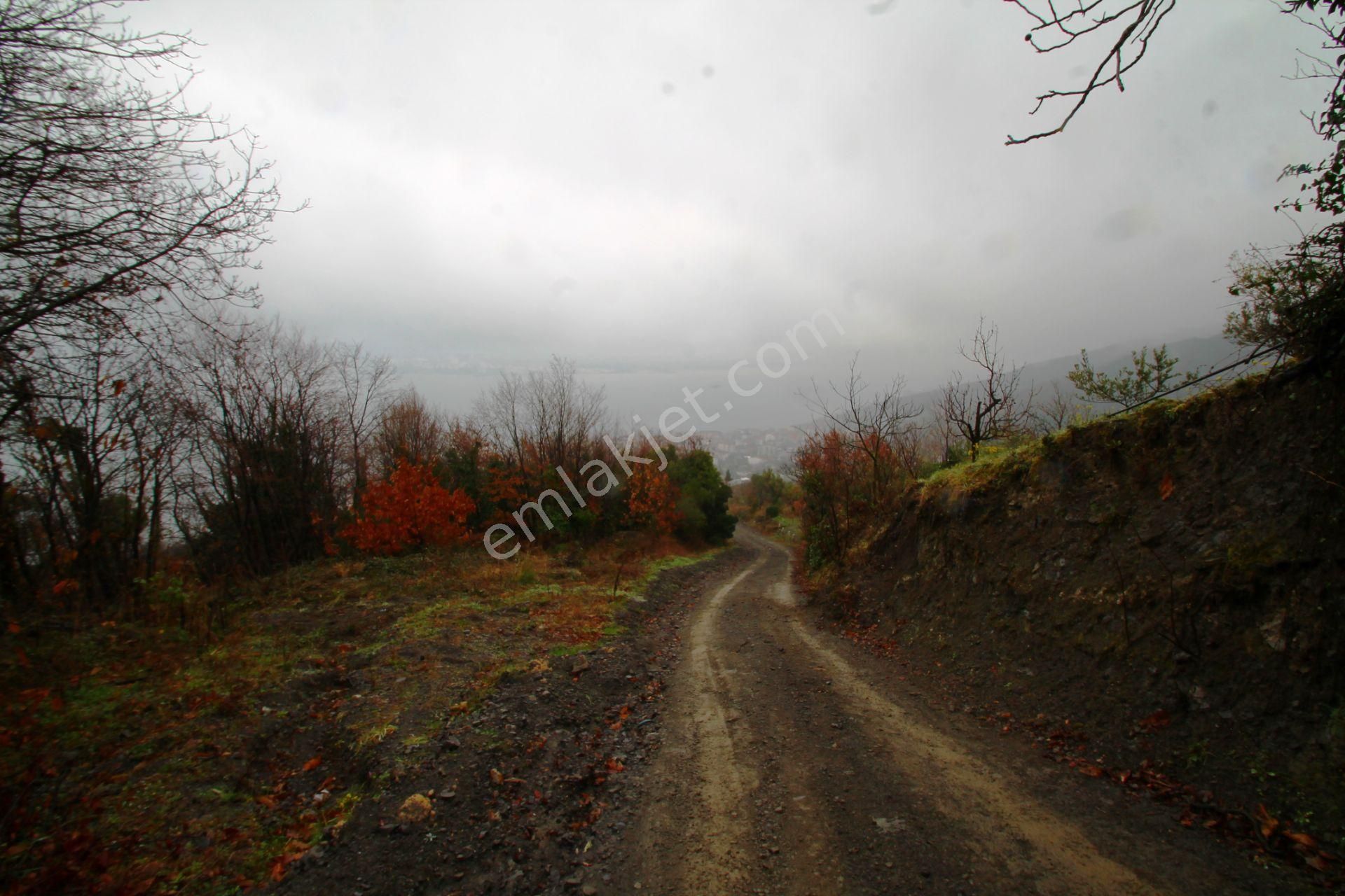Gölcük Halıdere 8.5 Dönüm Yolu Açılmış Kestanelik Satılık Arsa - Görsel 12