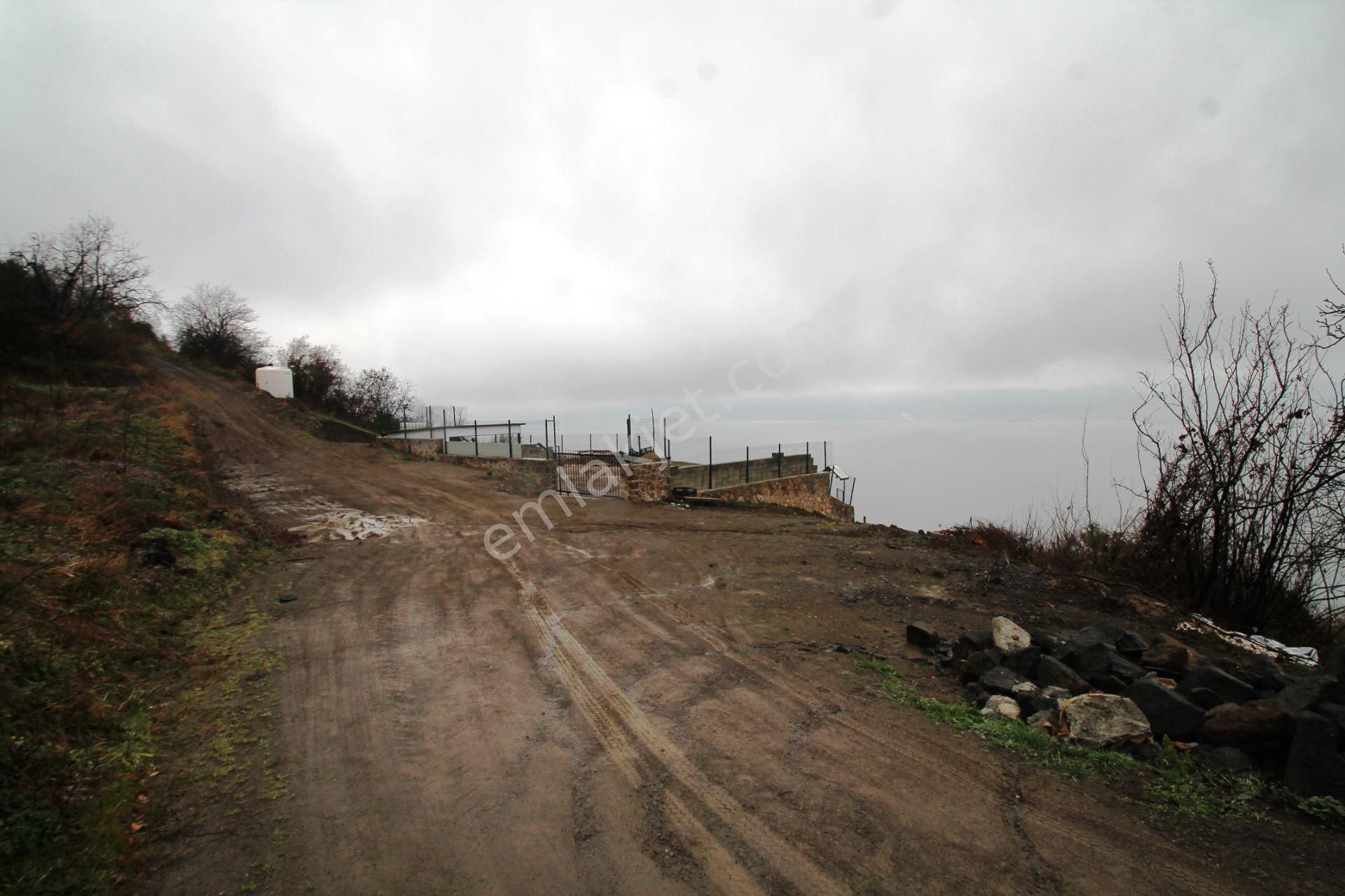 Gölcük Halıdere 8.5 Dönüm Yolu Açılmış Kestanelik Satılık Arsa - Görsel 26