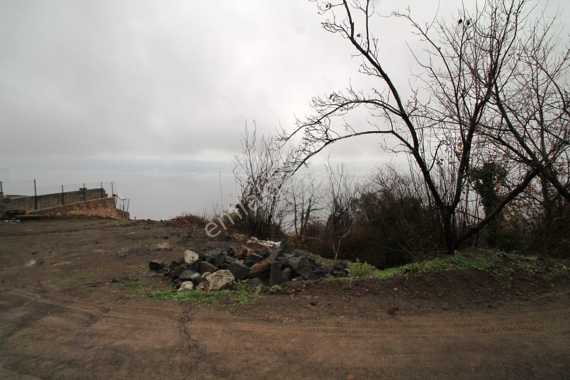 Gölcük Halıdere 8.5 Dönüm Yolu Açılmış Kestanelik Satılık Arsa - Görsel 27