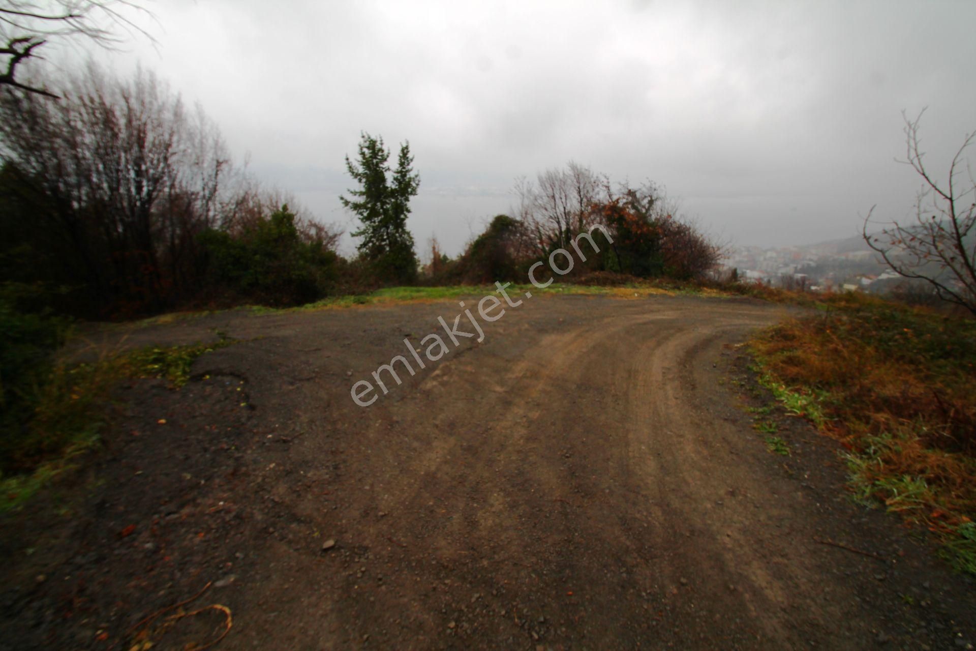 Gölcük Halıdere 8.5 Dönüm Yolu Açılmış Kestanelik Satılık Arsa - Görsel 16