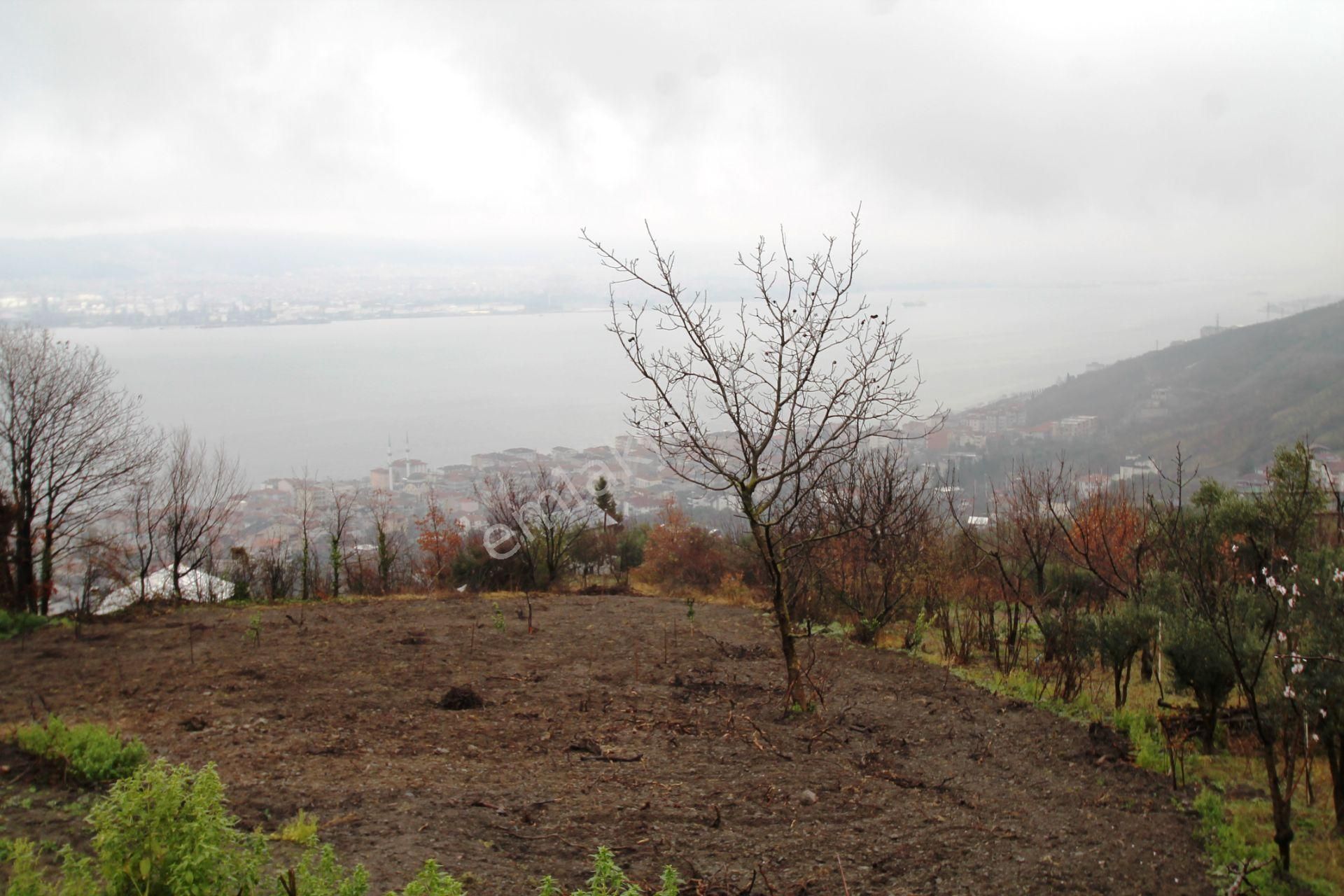 Gölcük Halıdere 8.5 Dönüm Yolu Açılmış Kestanelik Satılık Arsa - Görsel 32