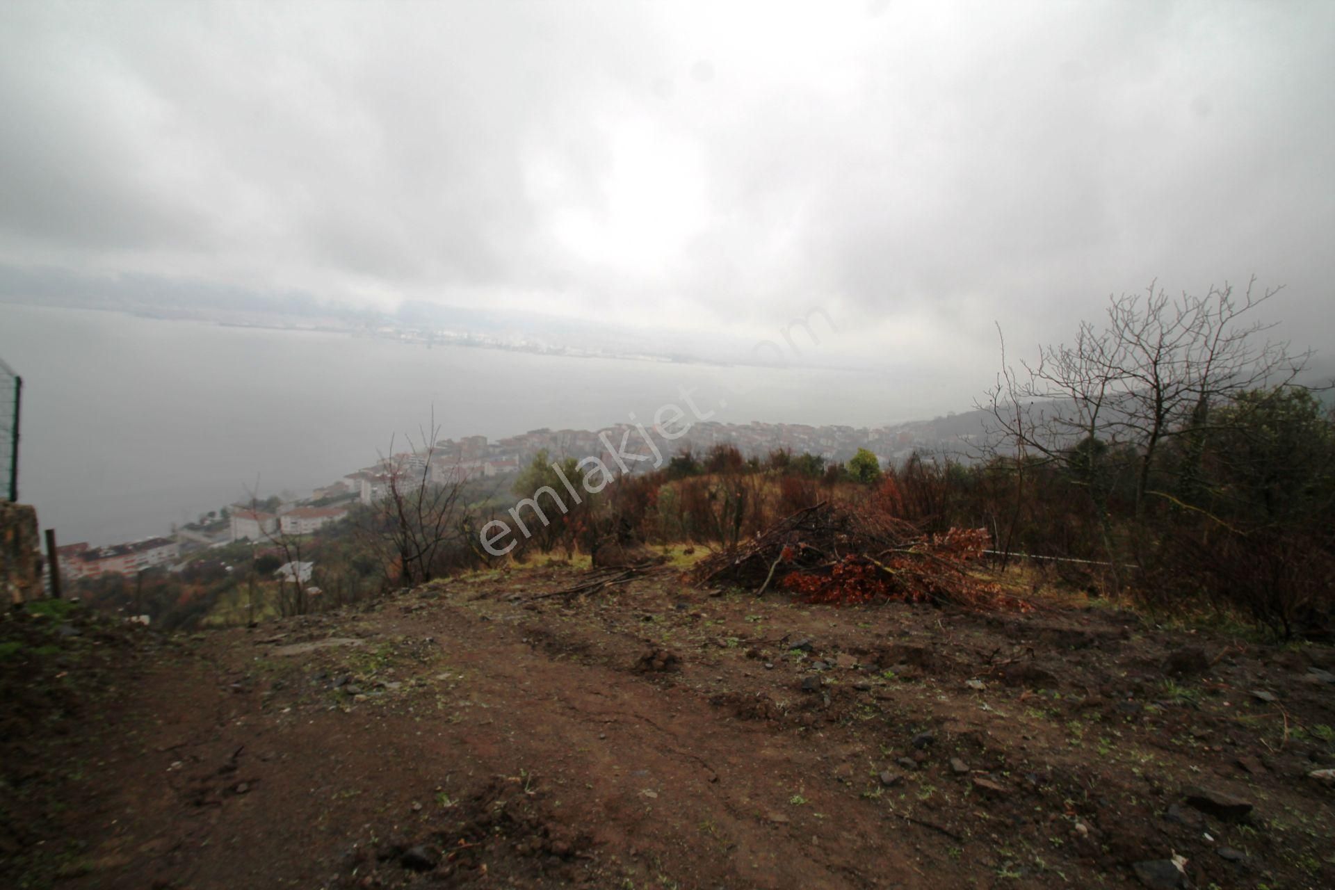 Gölcük Halıdere 8.5 Dönüm Yolu Açılmış Kestanelik Satılık Arsa - Görsel 33