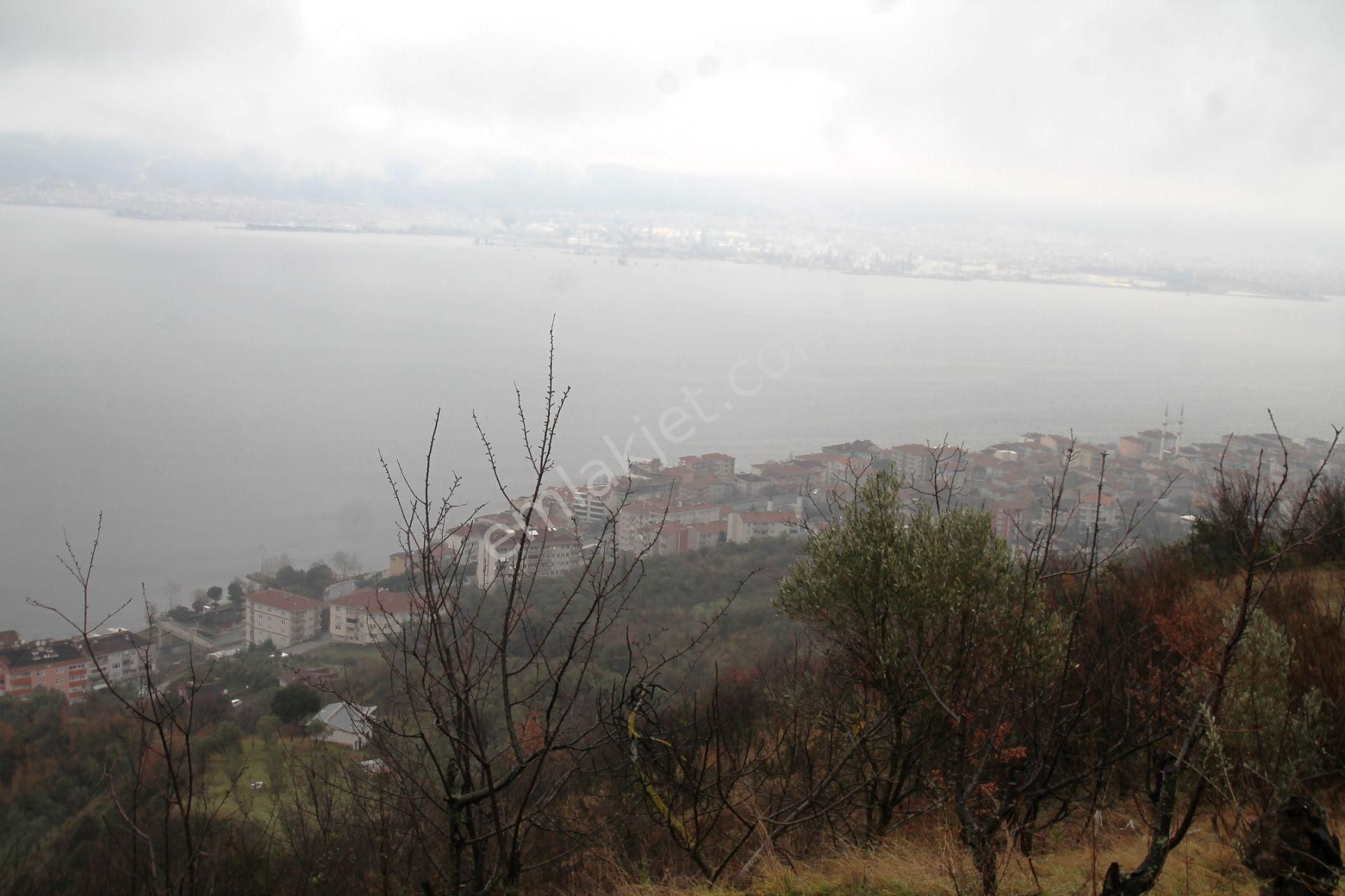 Gölcük Halıdere 8.5 Dönüm Yolu Açılmış Kestanelik Satılık Arsa - Görsel 35