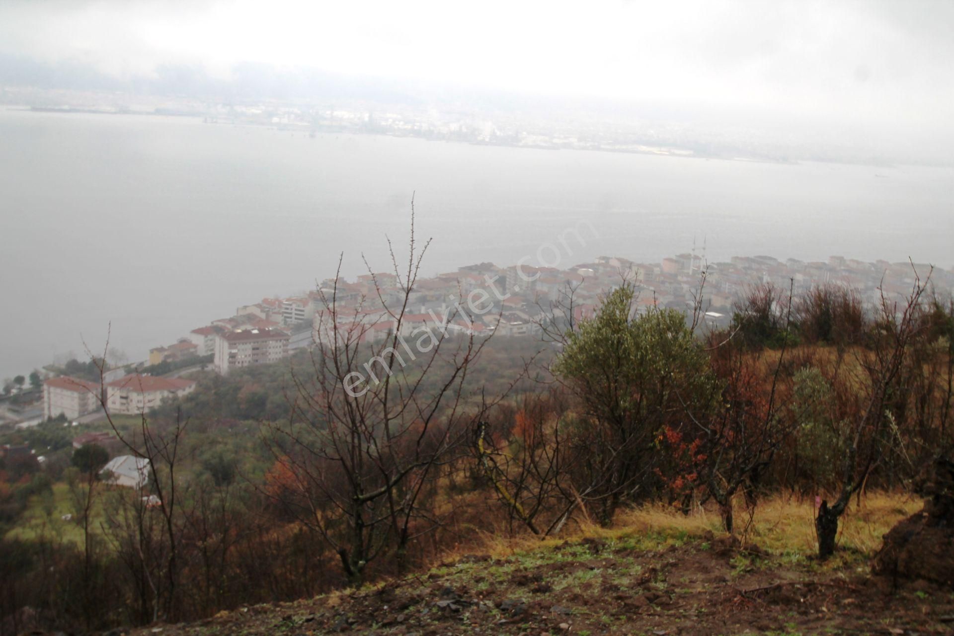 Gölcük Halıdere 8.5 Dönüm Yolu Açılmış Kestanelik Satılık Arsa - Görsel 30