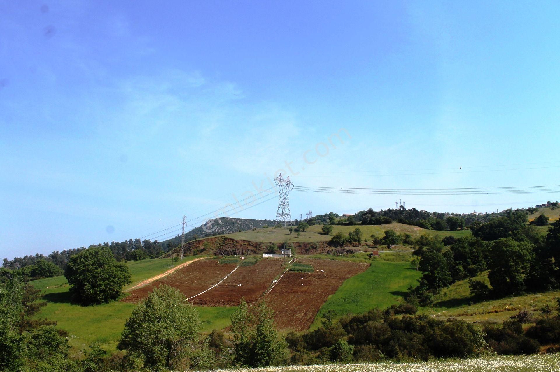 Yenice Çalköy Tarıma Uygun Müstakil Parse 7.5 Dönüm Satılık Arsa - Görsel 34