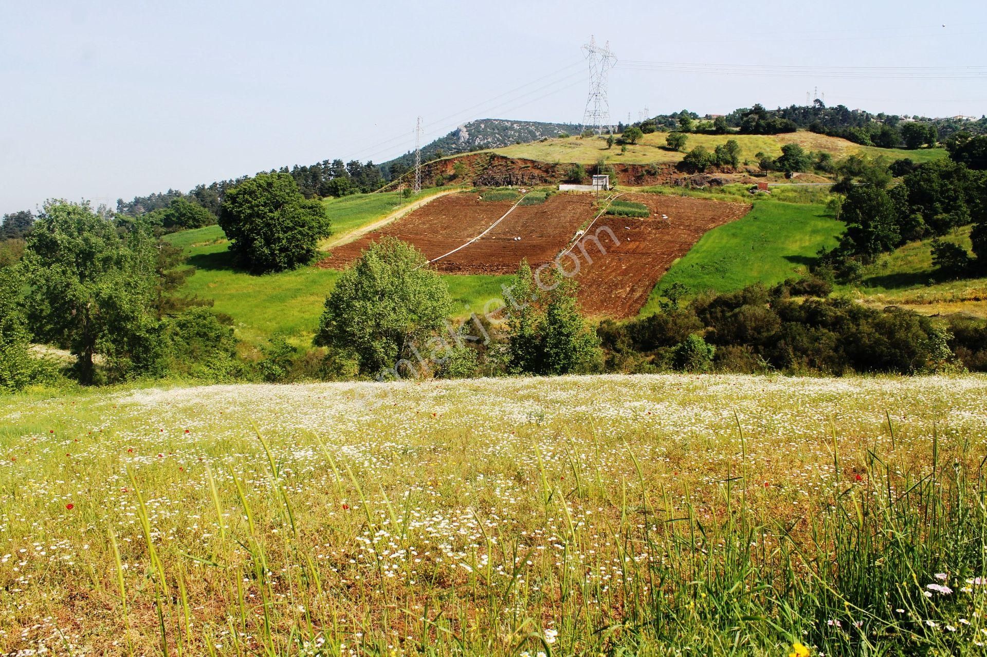 Yenice Çalköy Tarıma Uygun Müstakil Parse 7.5 Dönüm Satılık Arsa - Görsel 16