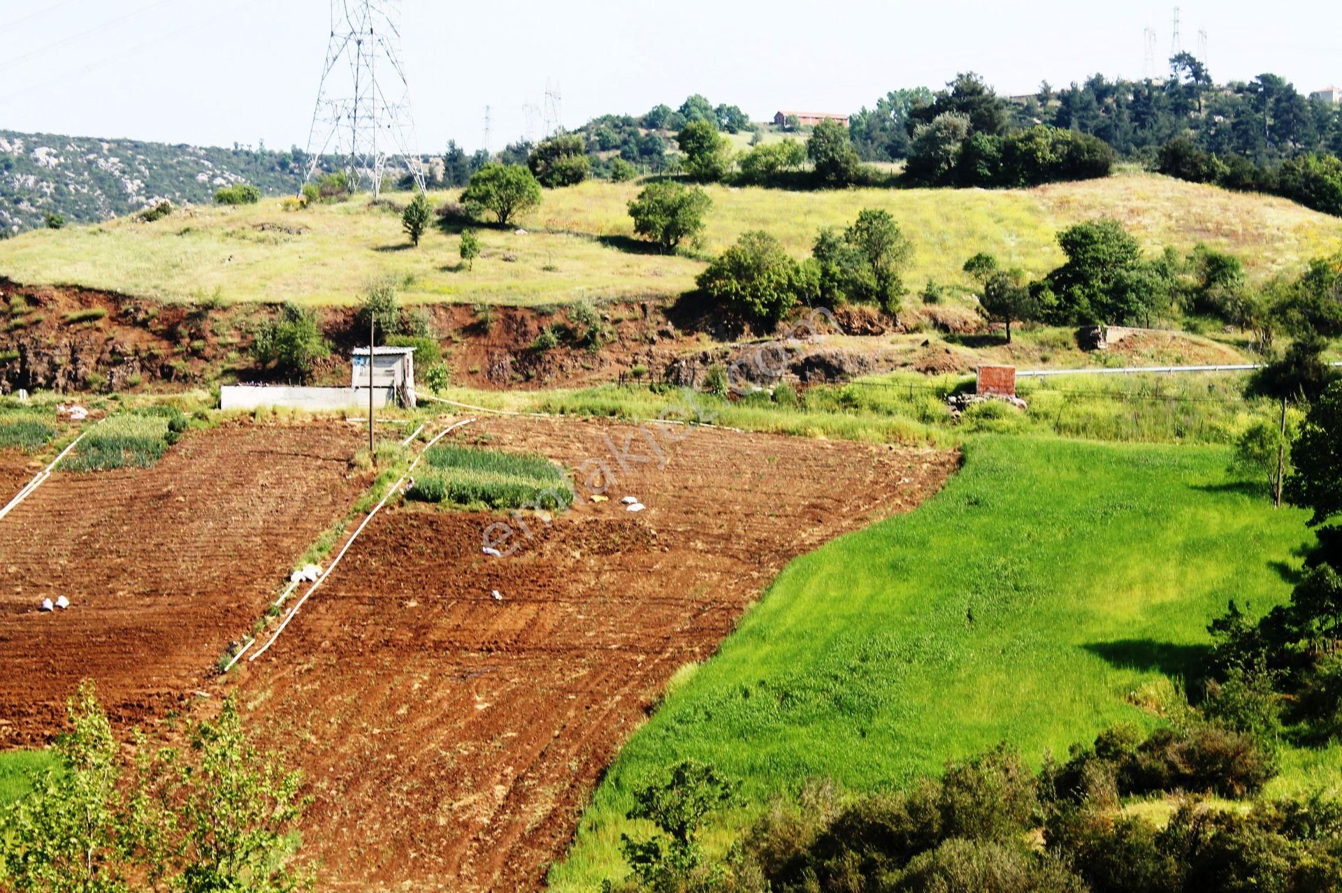 Yenice Çalköy Tarıma Uygun Müstakil Parse 7.5 Dönüm Satılık Arsa - Görsel 18