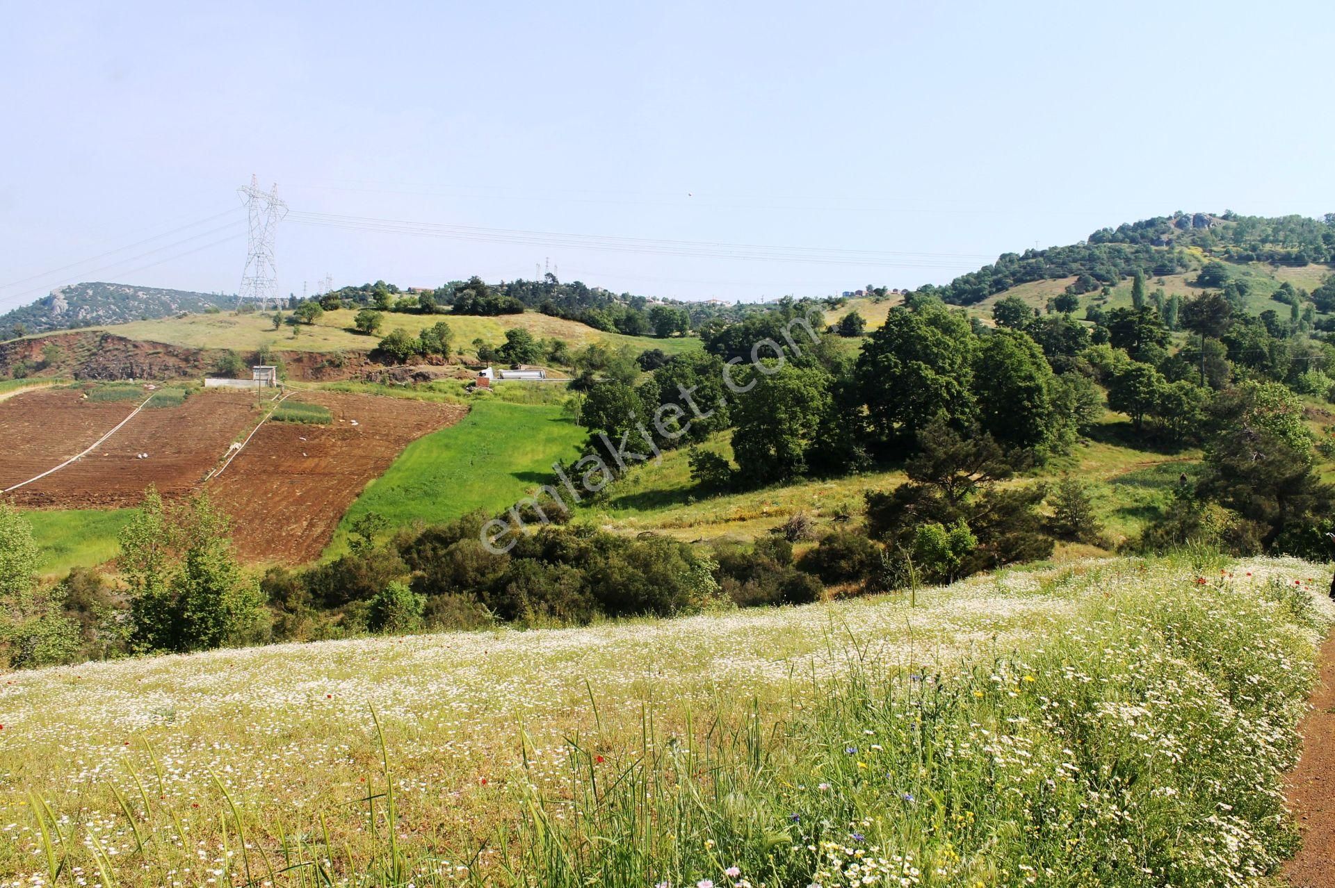 Yenice Çalköy Tarıma Uygun Müstakil Parse 7.5 Dönüm Satılık Arsa - Görsel 17