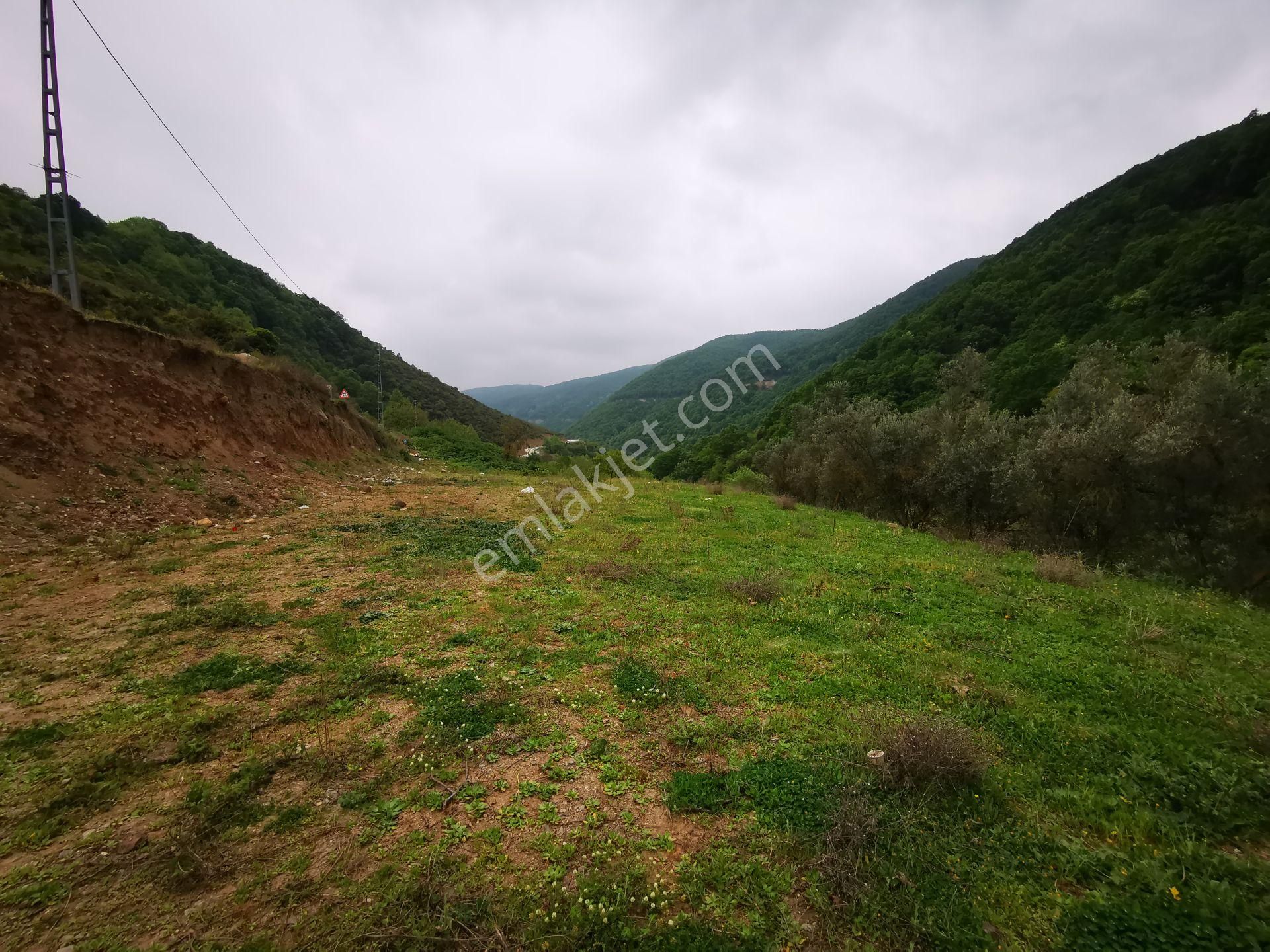 Karamürsel Avcıköy Merkez 500 Mt.imara Yakın 3168m2 Satılık Arsa - Görsel 8