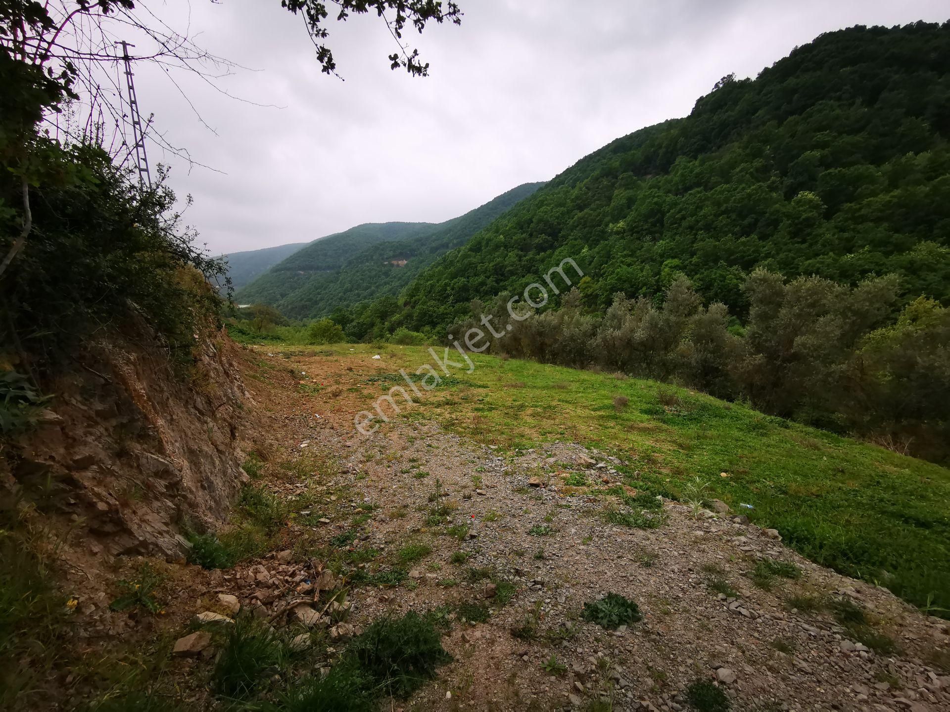 Karamürsel Avcıköy Merkez 500 Mt.imara Yakın 3168m2 Satılık Arsa - Görsel 16