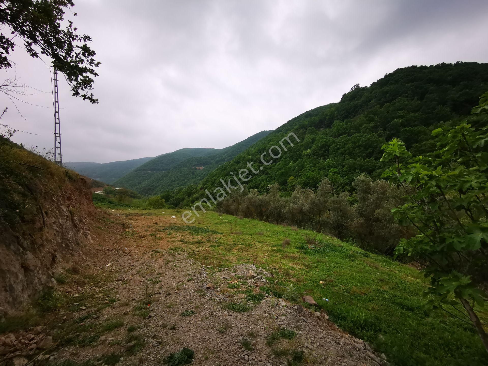 Karamürsel Avcıköy Merkez 500 Mt.imara Yakın 3168m2 Satılık Arsa - Görsel 12