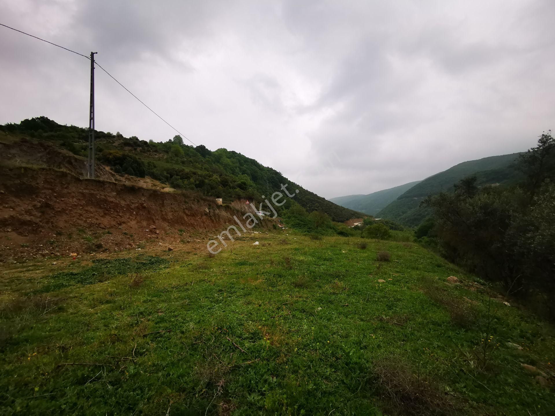 Karamürsel Avcıköy Merkez 500 Mt.imara Yakın 3168m2 Satılık Arsa - Görsel 24