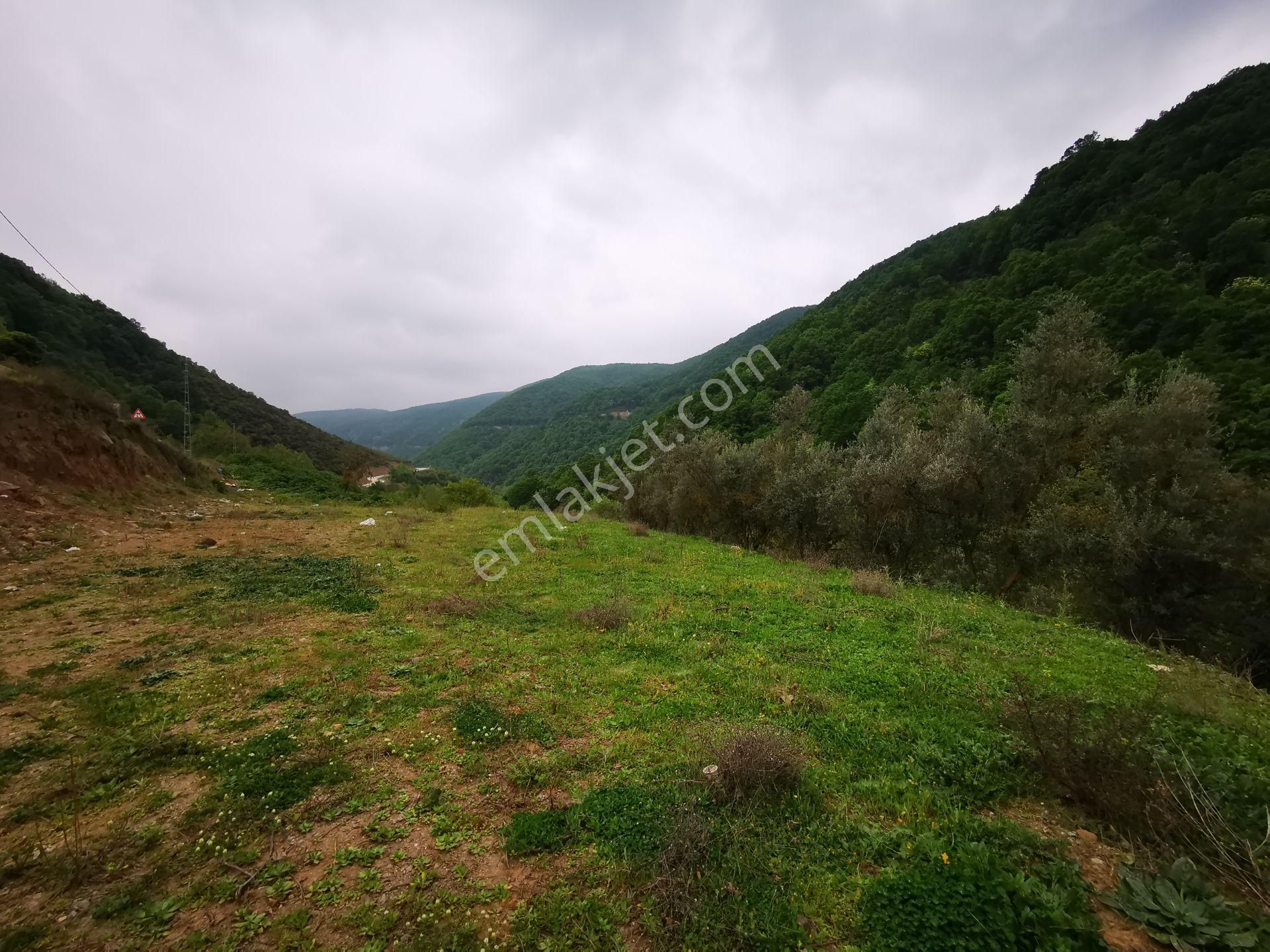 Karamürsel Avcıköy Merkez 500 Mt.imara Yakın 3168m2 Satılık Arsa - Görsel 9