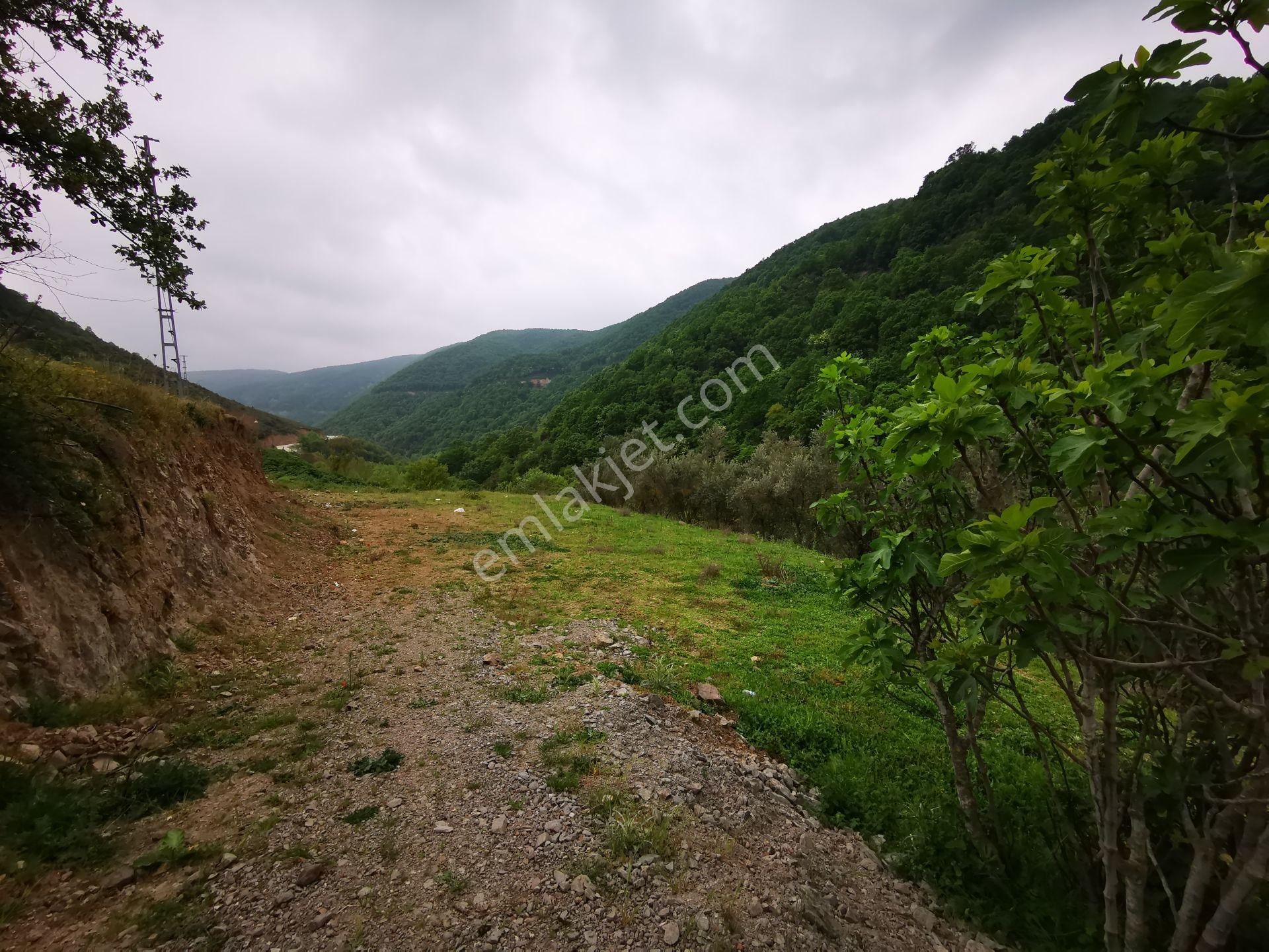 Karamürsel Avcıköy Merkez 500 Mt.imara Yakın 3168m2 Satılık Arsa - Görsel 15