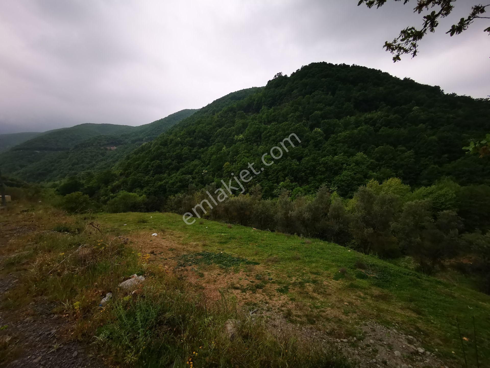 Karamürsel Avcıköy Merkez 500 Mt.imara Yakın 3168m2 Satılık Arsa - Görsel 26