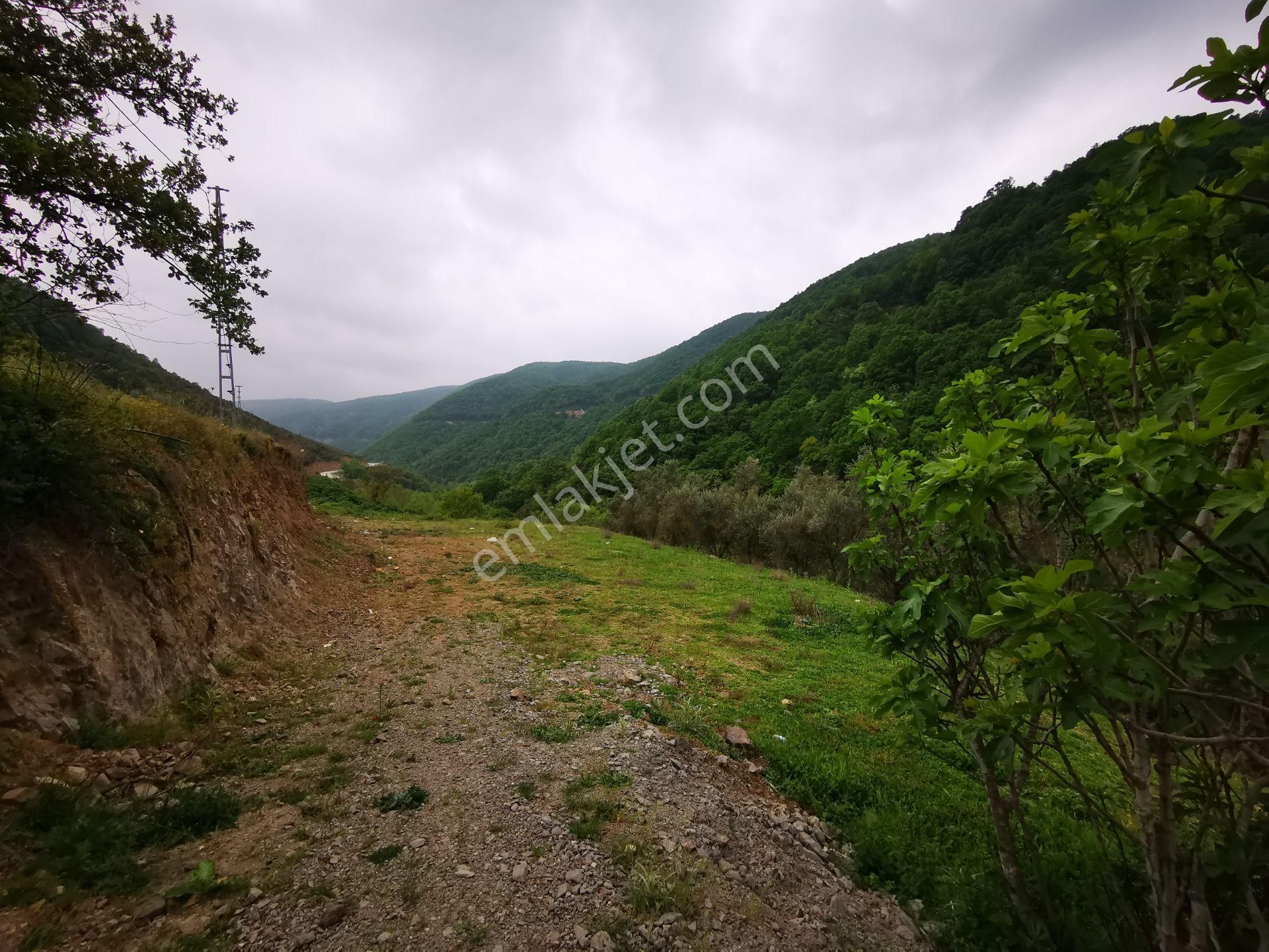 Karamürsel Avcıköy Merkez 500 Mt.imara Yakın 3168m2 Satılık Arsa - Görsel 14