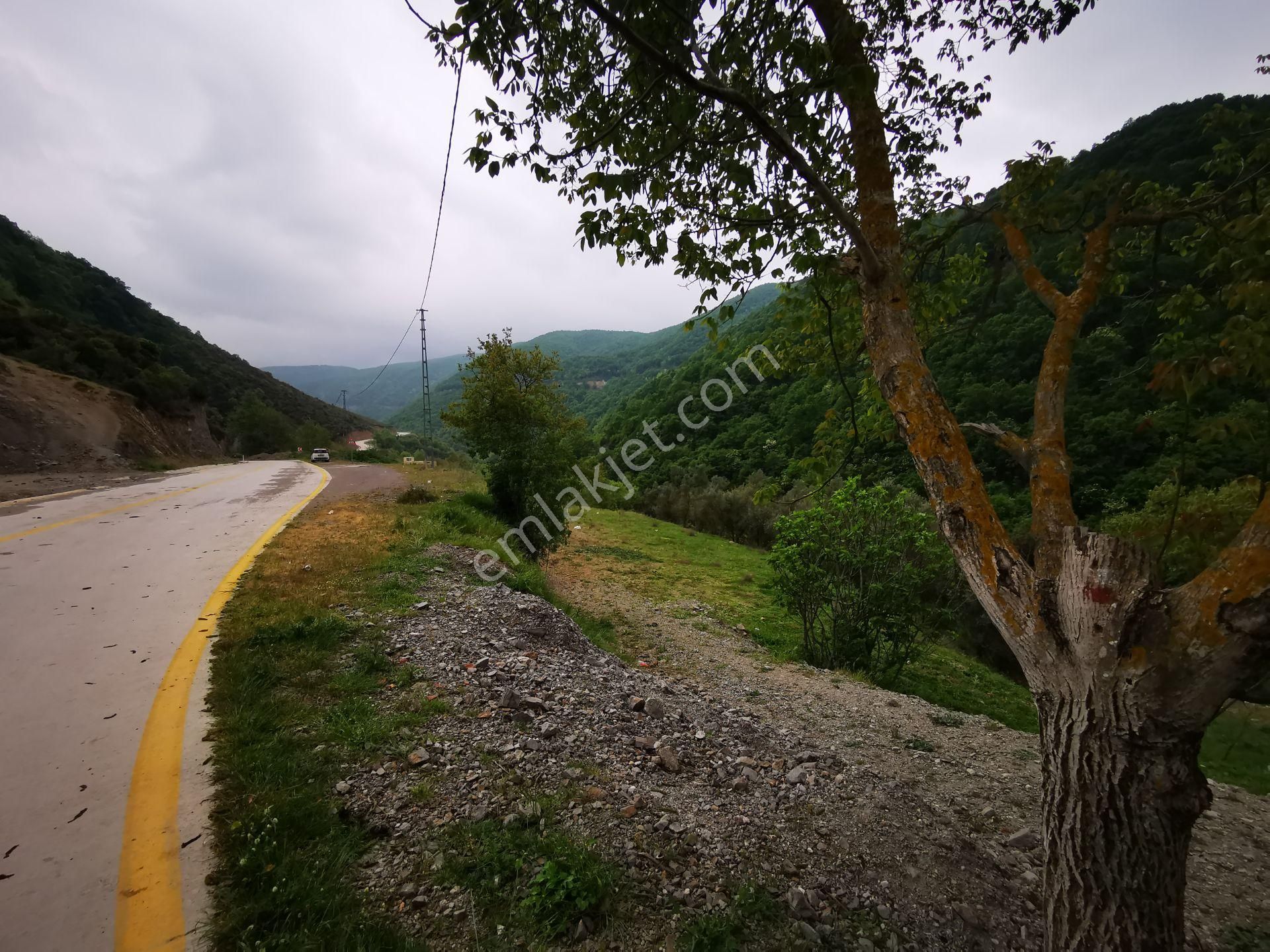 Karamürsel Avcıköy Merkez 500 Mt.imara Yakın 3168m2 Satılık Arsa - Görsel 34