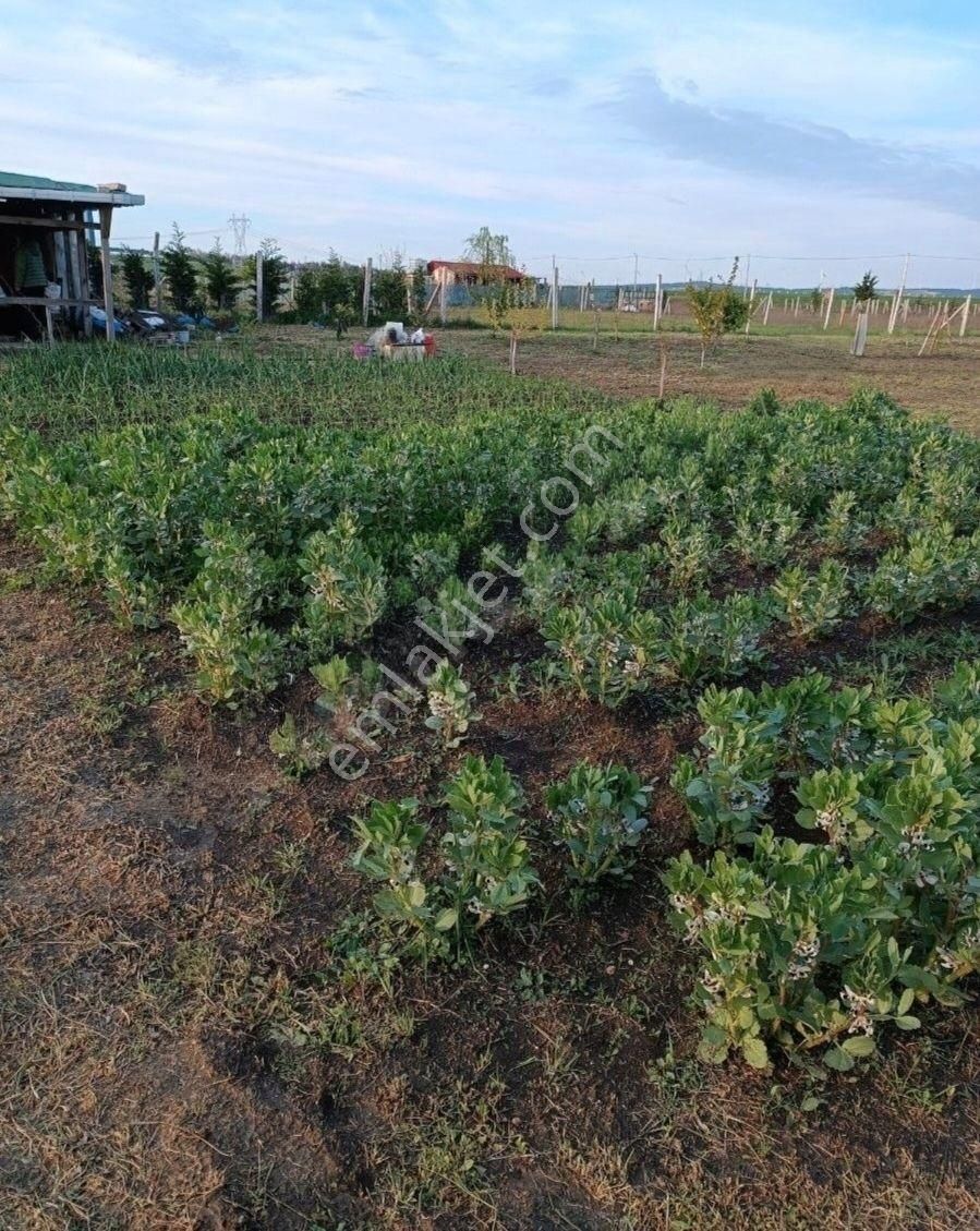 Sahibinden Yatırımlık İmara Çok Yakın Fırsat Arsa