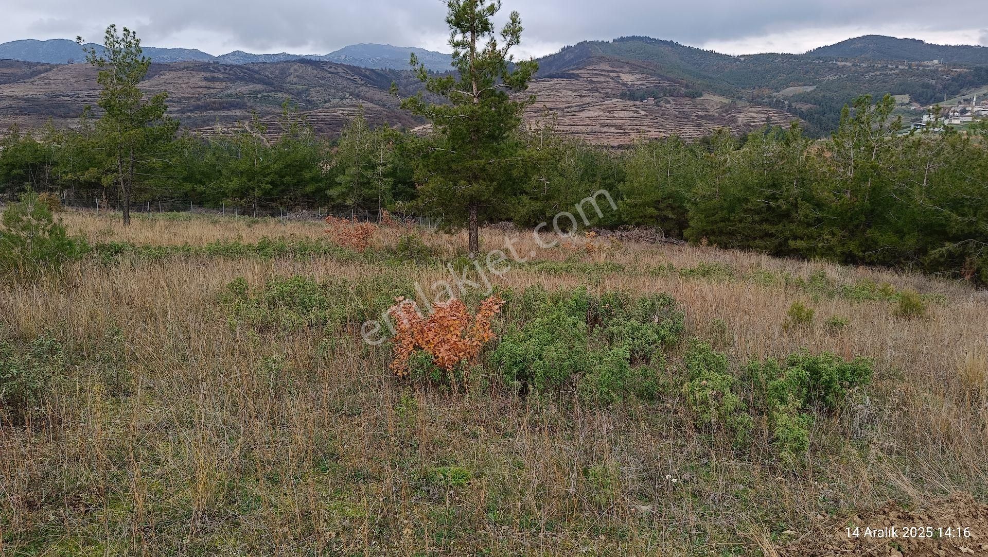 Kestel/ağlaşan Hobi Bahçesi - Görsel 7