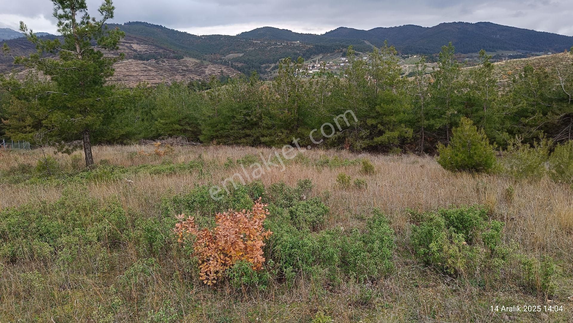 Kestel/ağlaşan Hobi Bahçesi - Görsel 2