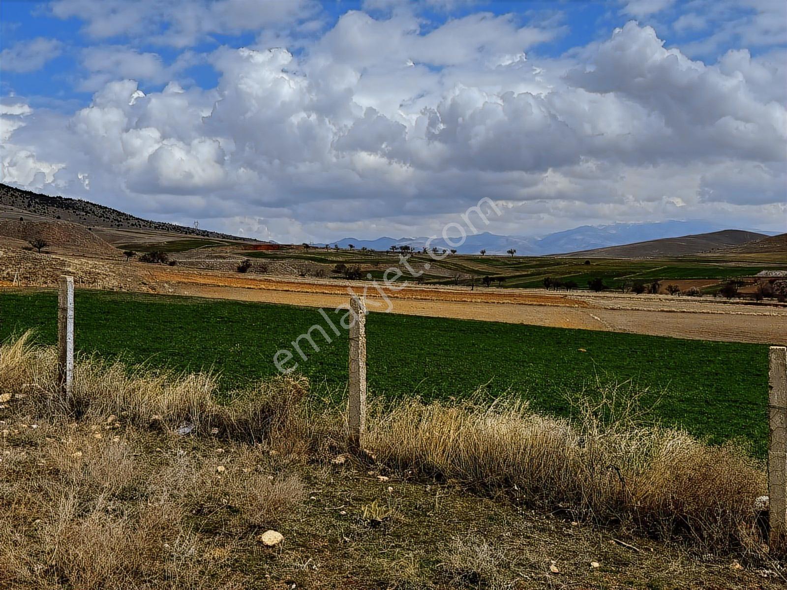 7.900 Dönüm Meraya Cepheli Konut İmarlı Arsa 812m2 - Görsel 13