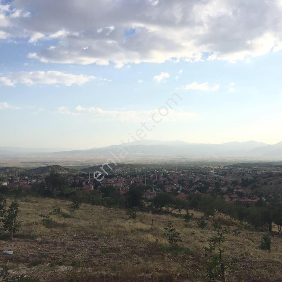 Salda Gölüne Yakın Resmi Yol Kenarında 1.050 M2 Fırsat Arsa - Görsel 6