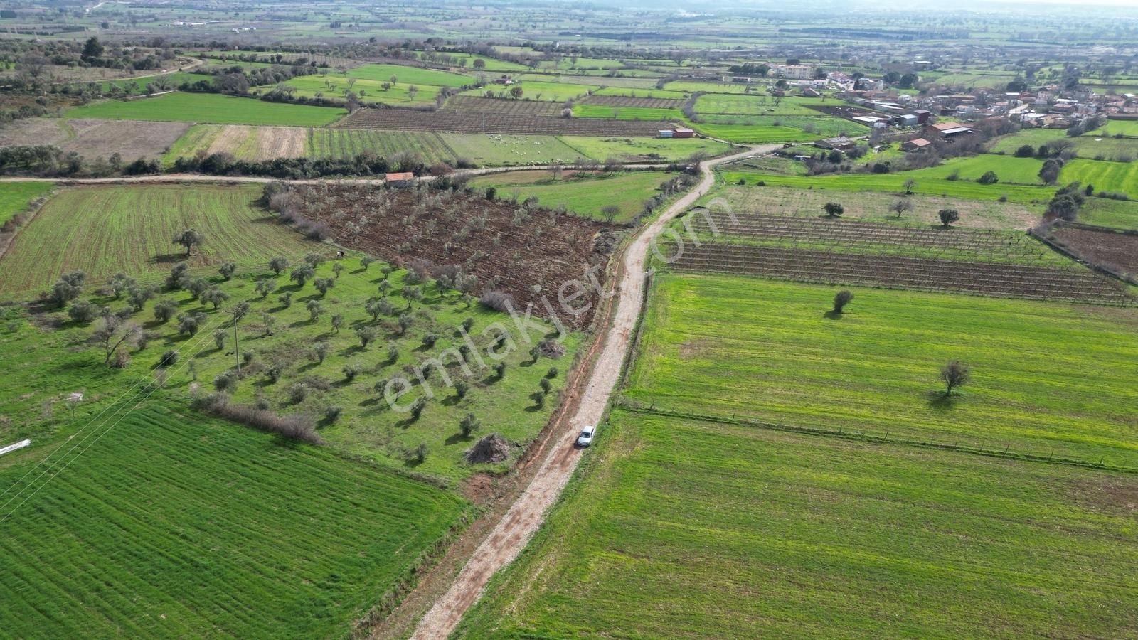 Çanakkale Bayramiç Ahmetçeli Köyü Yola Cephe 5.400 M² Tarla - Görsel 5