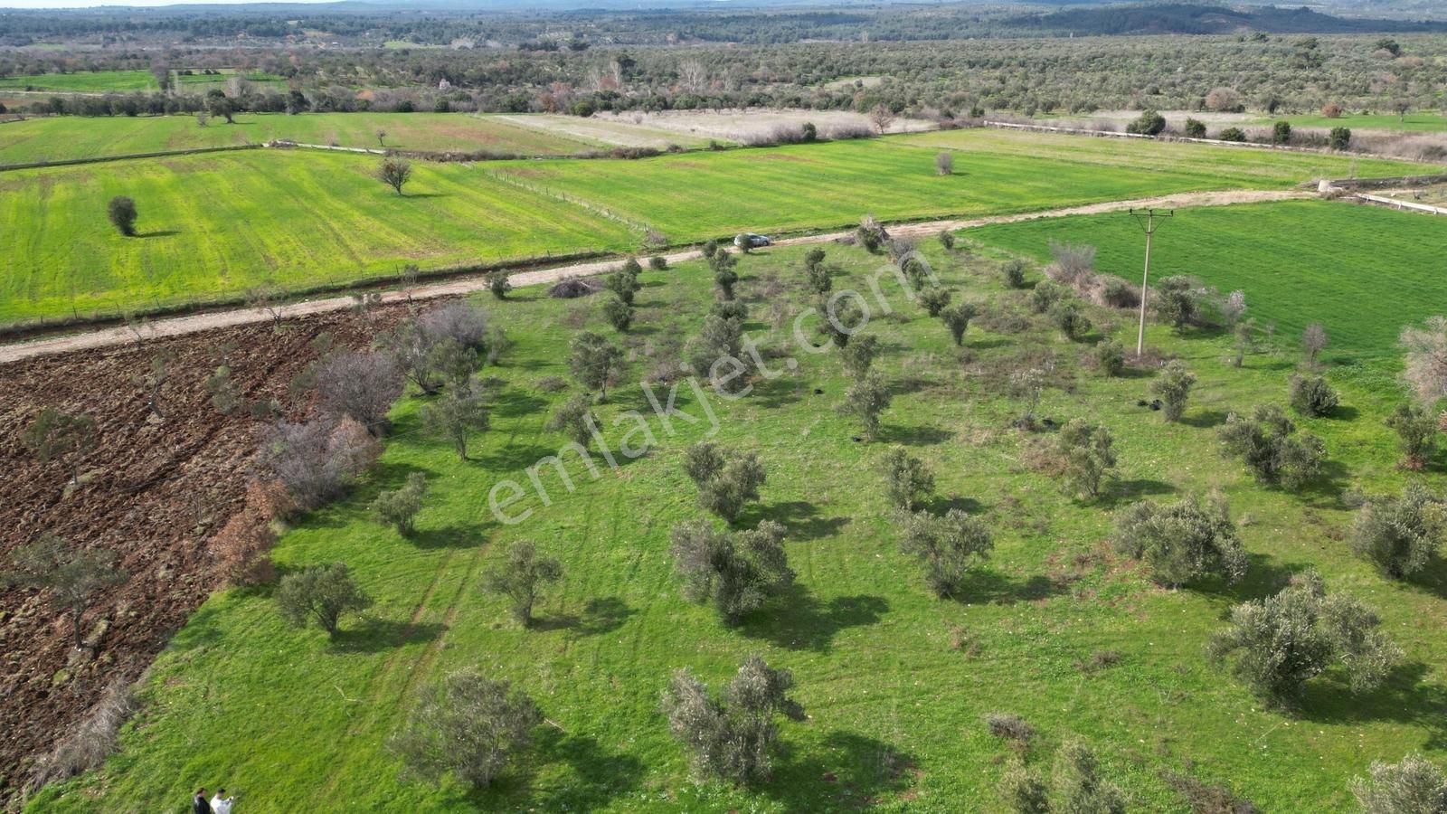 Çanakkale Bayramiç Ahmetçeli Köyü Yola Cephe 5.400 M² Tarla - Görsel 15