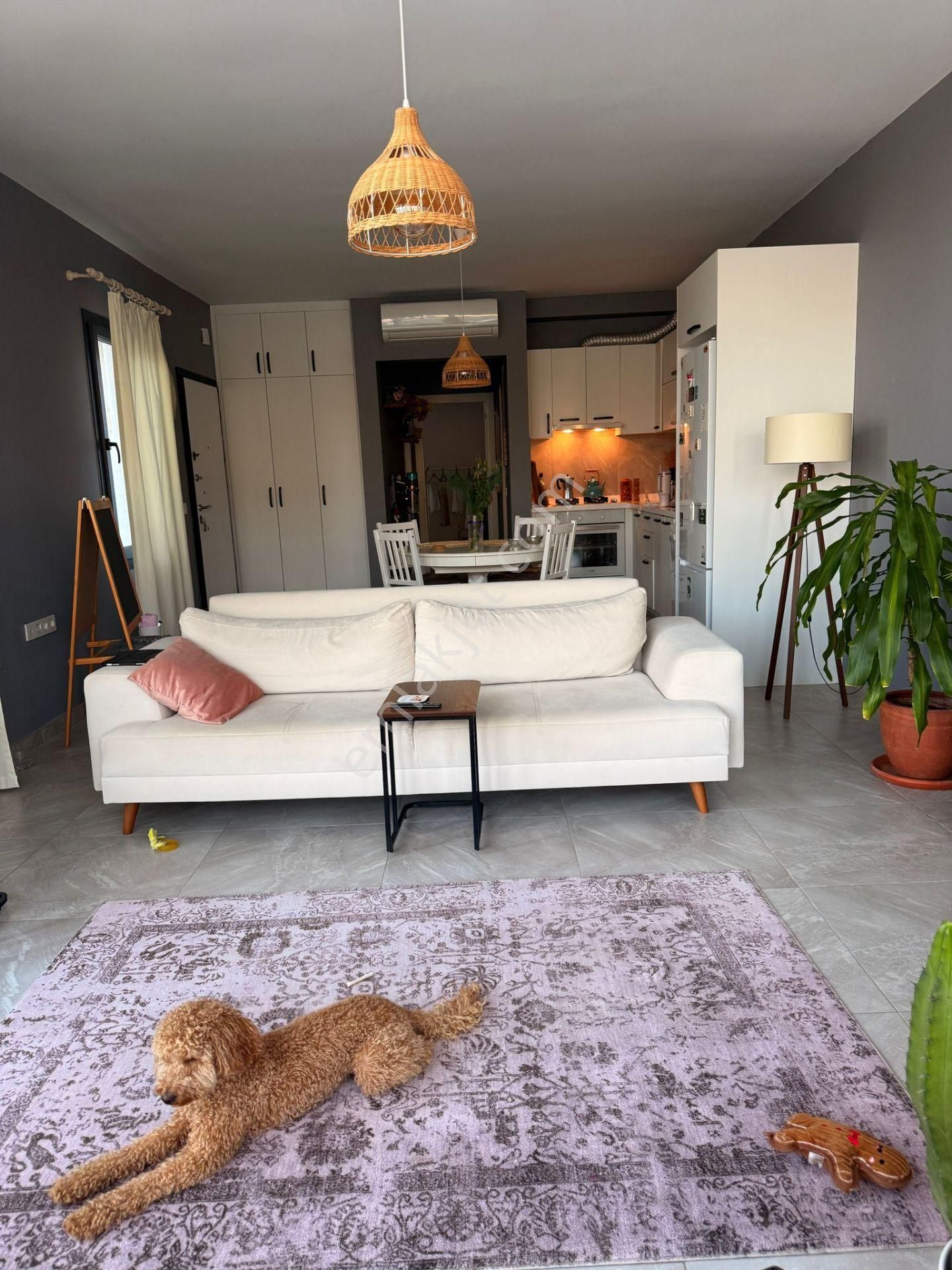 Bodrum / Gündoğan 2+1 Eşyasız Yıllık Kiralık Bahçe Katı Daire - Görsel 6