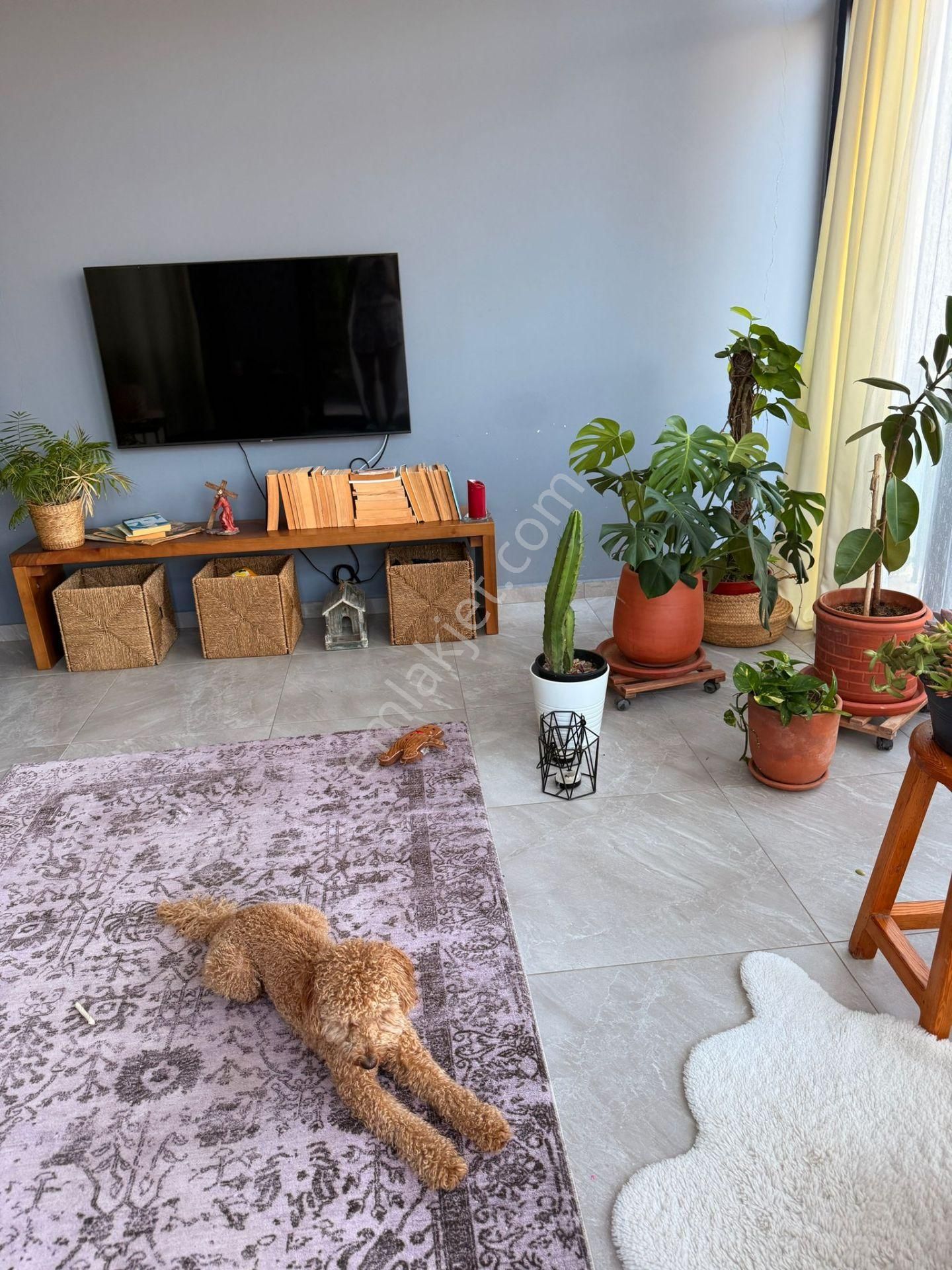 Bodrum / Gündoğan 2+1 Eşyasız Yıllık Kiralık Bahçe Katı Daire - Görsel 5