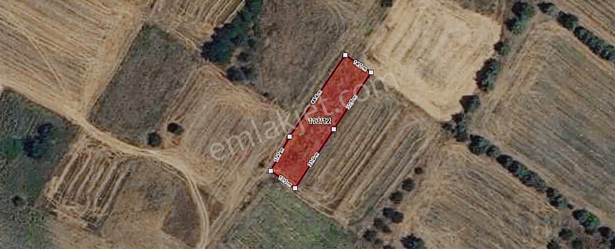 Pancarköy'de Satılık Bağ Yeri Kw Plus Reşadiye Süt - Görsel 2