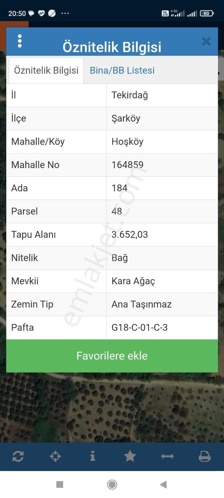 Şarköyde Işık Emlakta Hoşköy Mah De 3600 M2 Zeytinlik - Görsel 18