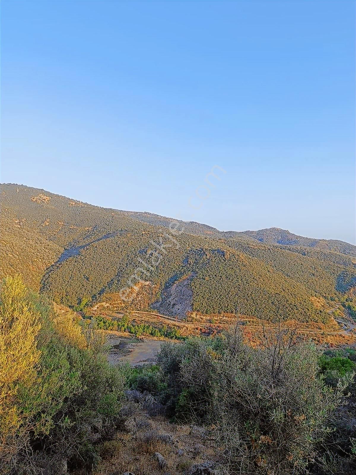 Ayvalık Üçkabağaçta Satılık Arazi - Görsel 3