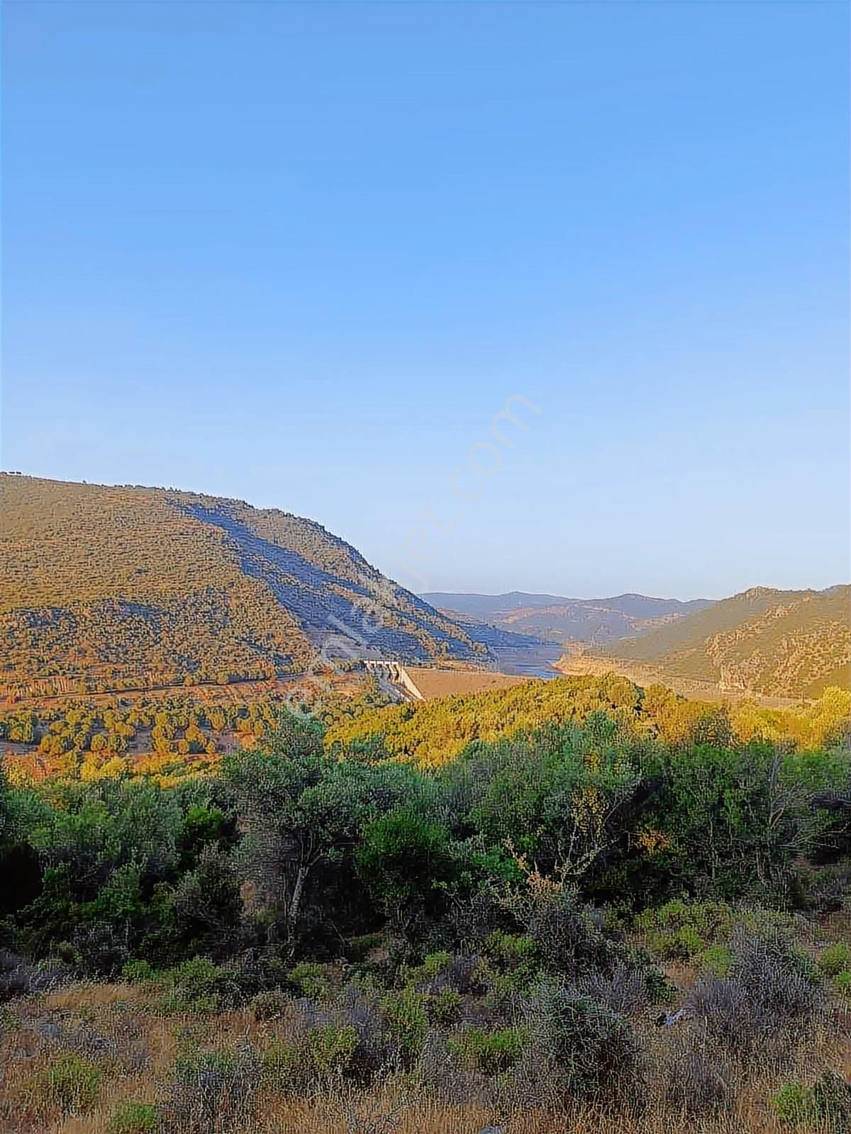 Ayvalık Üçkabağaçta Satılık Arazi