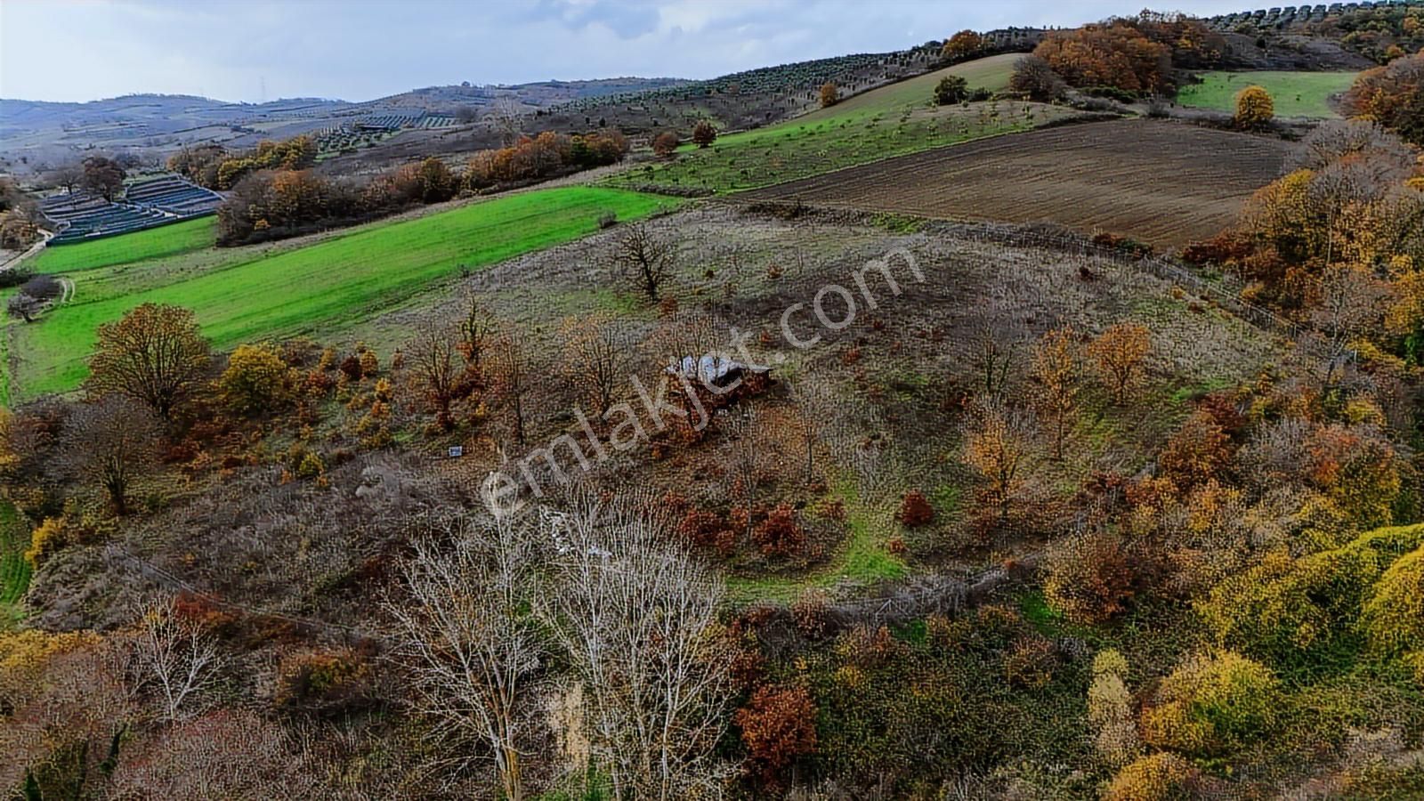Bursa Mudanya Hançerli Bağ Evi - Görsel 13