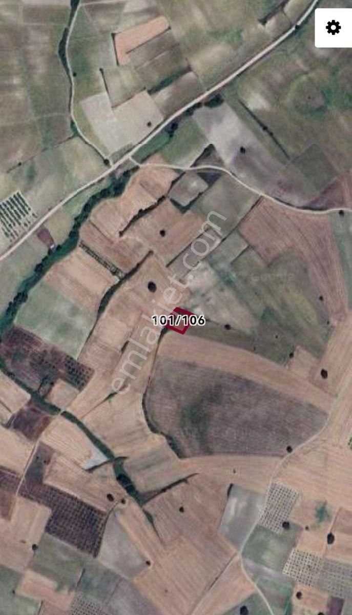 Selçuklu'dan Evciler'de Yatırımlık Fırsat Tarla - Görsel 2