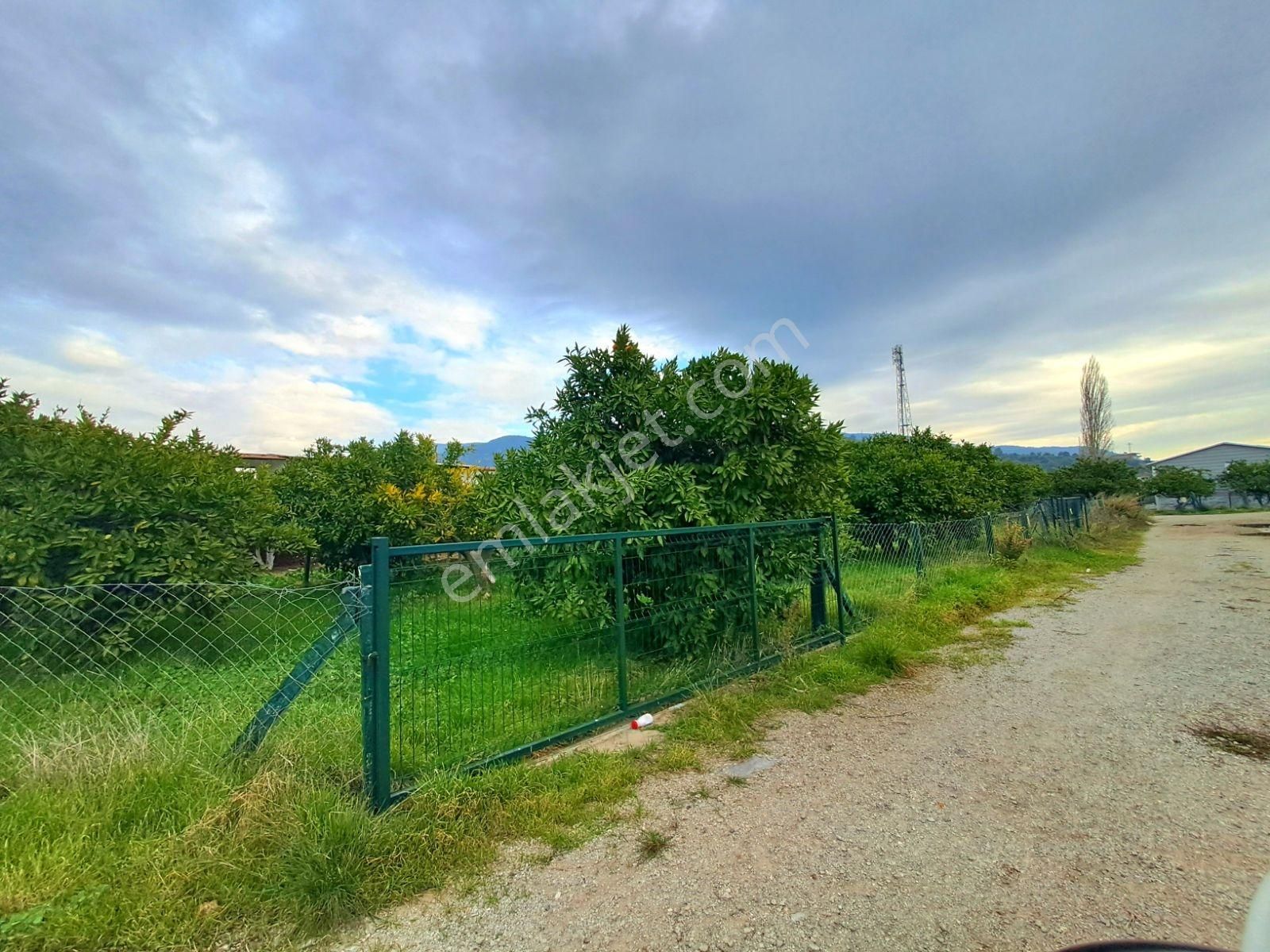 Gümüldür Merkezde 250 Metre Kare Bahçe - Görsel 2