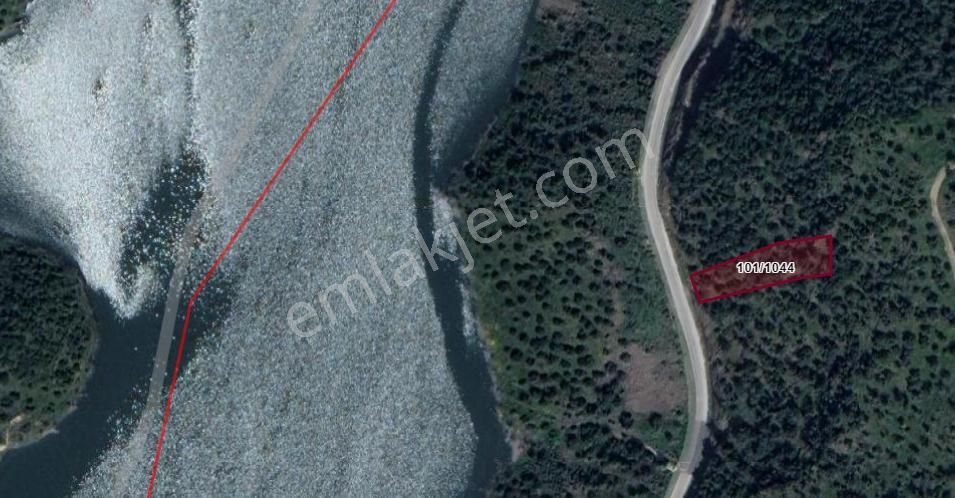 İzmir Bayındır'da Asfalt Yola Cephe 1,087 M² Muhteşem Zeytinlik - Görsel 4