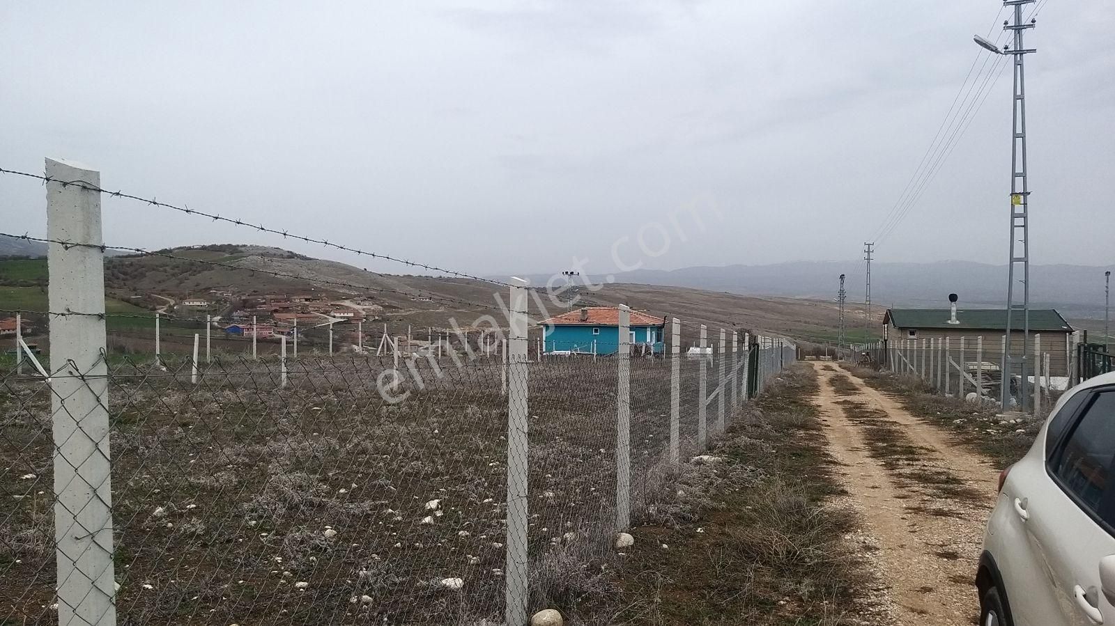 Satılık Hobı Bahcesı Bag - Görsel 3