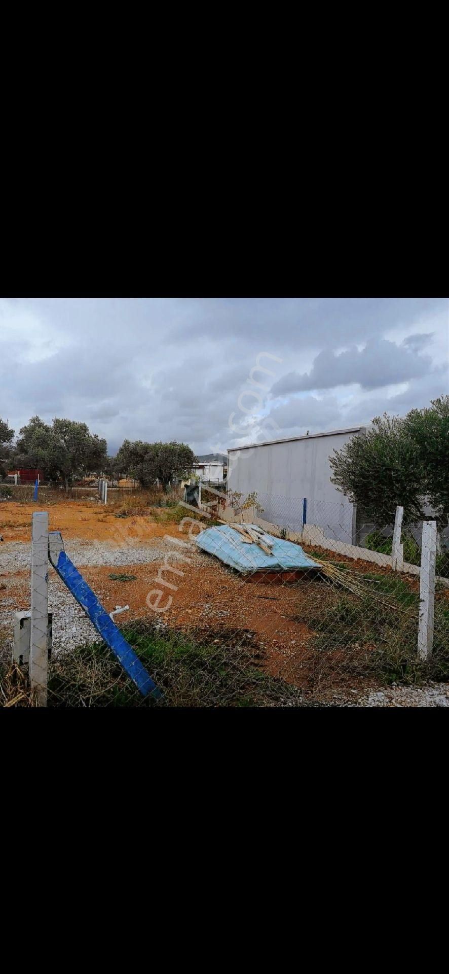 Menderes Çile"mh"koparetif Hisseli Satılık Tarla - Görsel 4