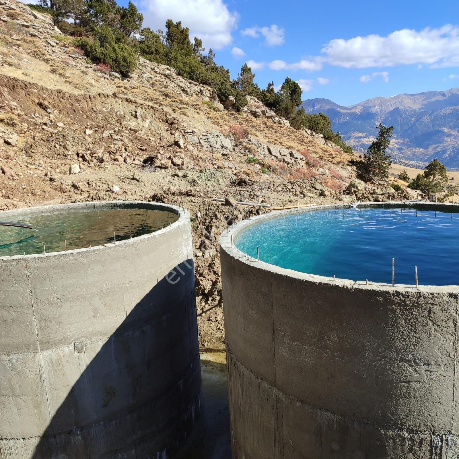 Gündoğmuşta 4.380 M² Arazide 100 Ceviz Ağacıyla Satılık Bahçe - Görsel 7