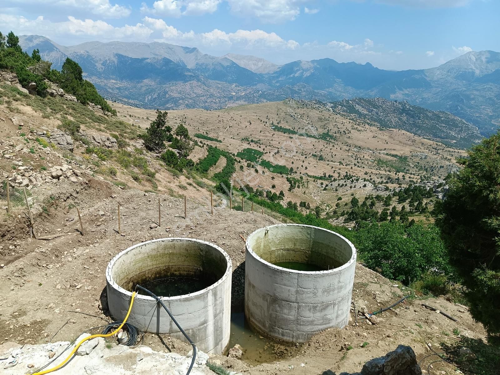 Gündoğmuşta 4.380 M² Arazide 100 Ceviz Ağacıyla Satılık Bahçe