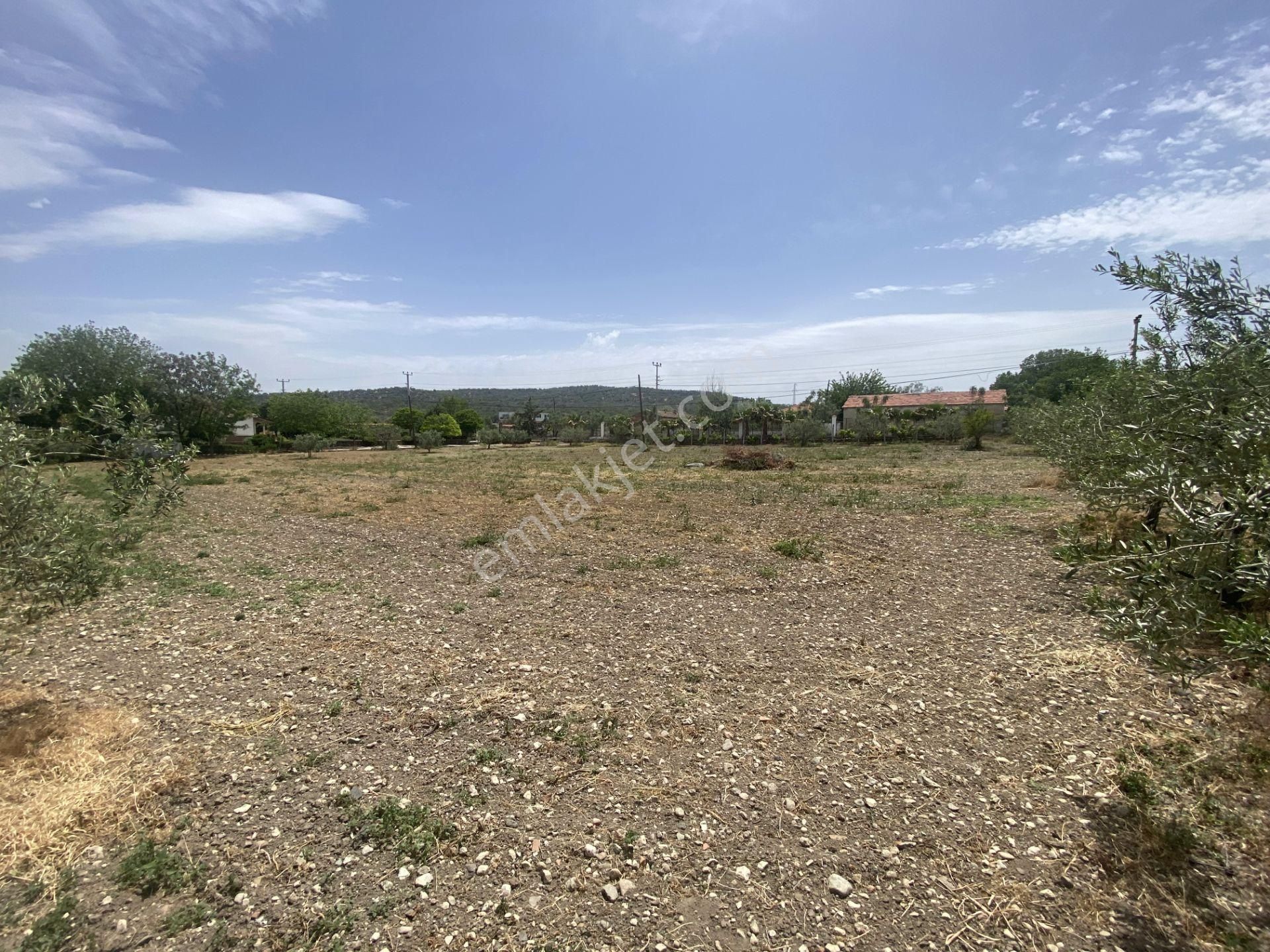 Balıkesir Gömec Keremköy De Satılık Ciftlikevi. - Görsel 17