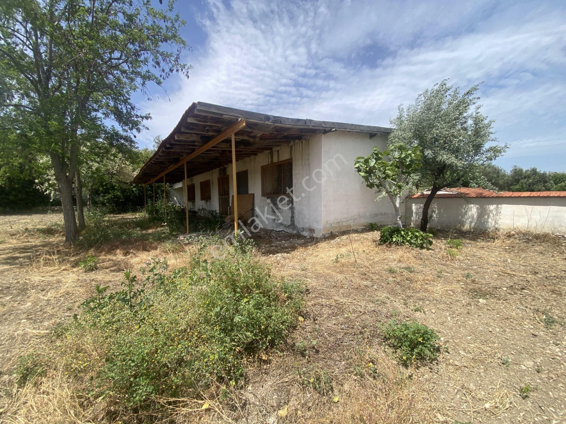 Balıkesir Gömec Keremköy De Satılık Ciftlikevi. - Görsel 8